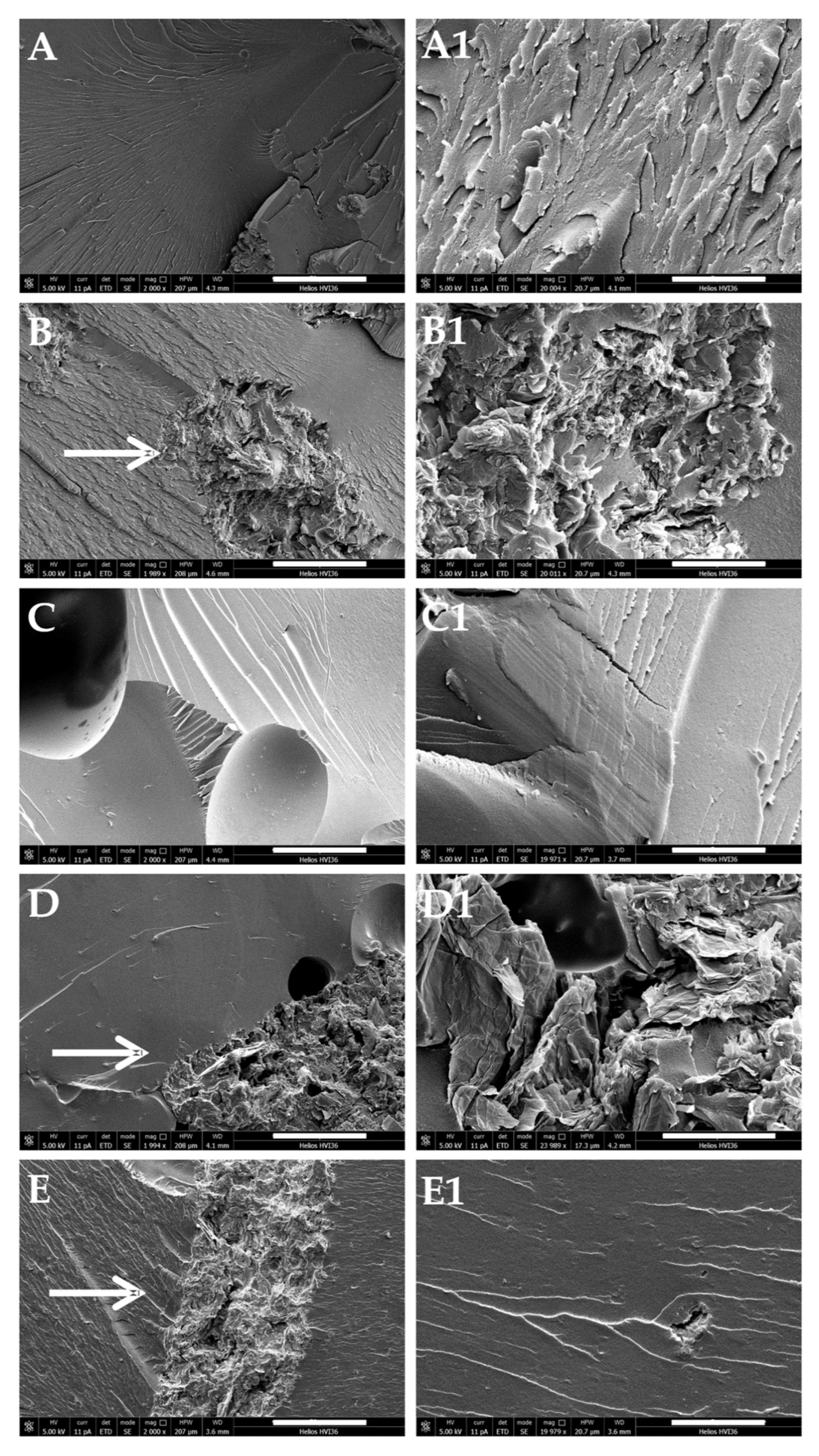Polymers 13 00339 g010