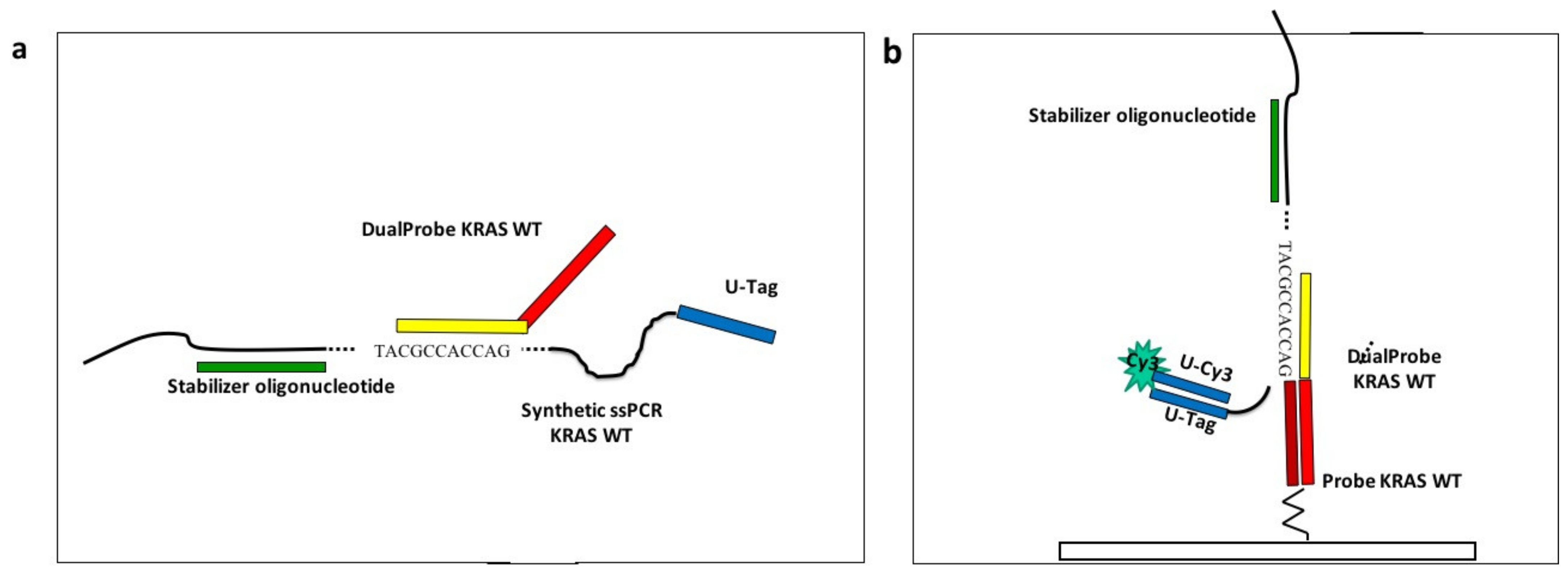 Polymers 13 00340 g002