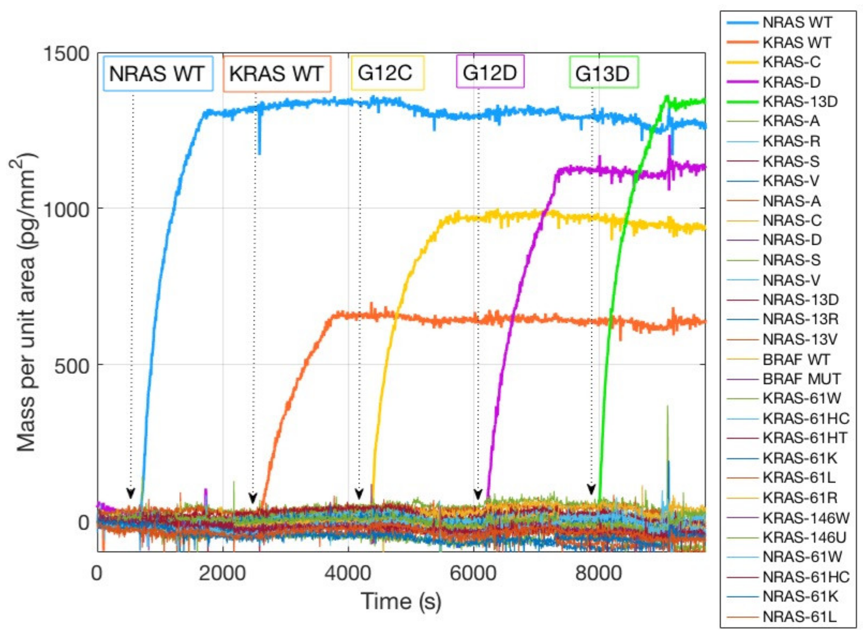 Polymers 13 00340 g004