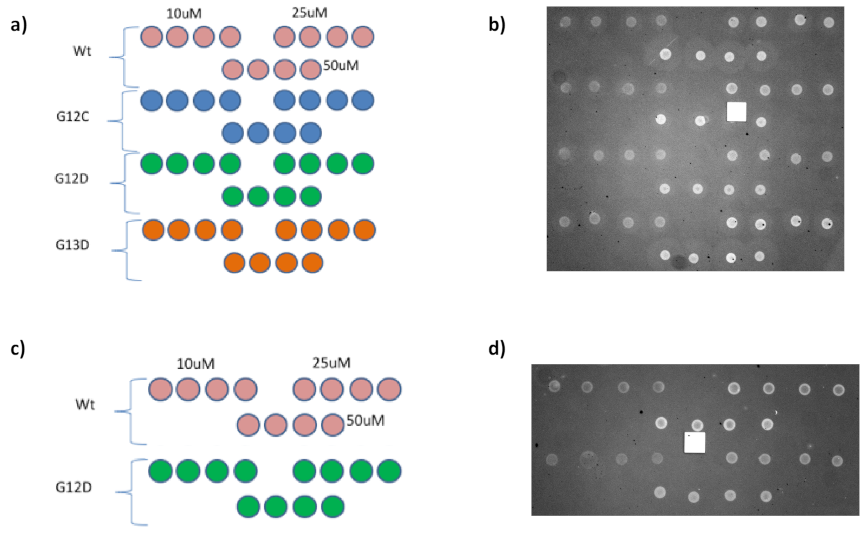 Polymers 13 00340 g005