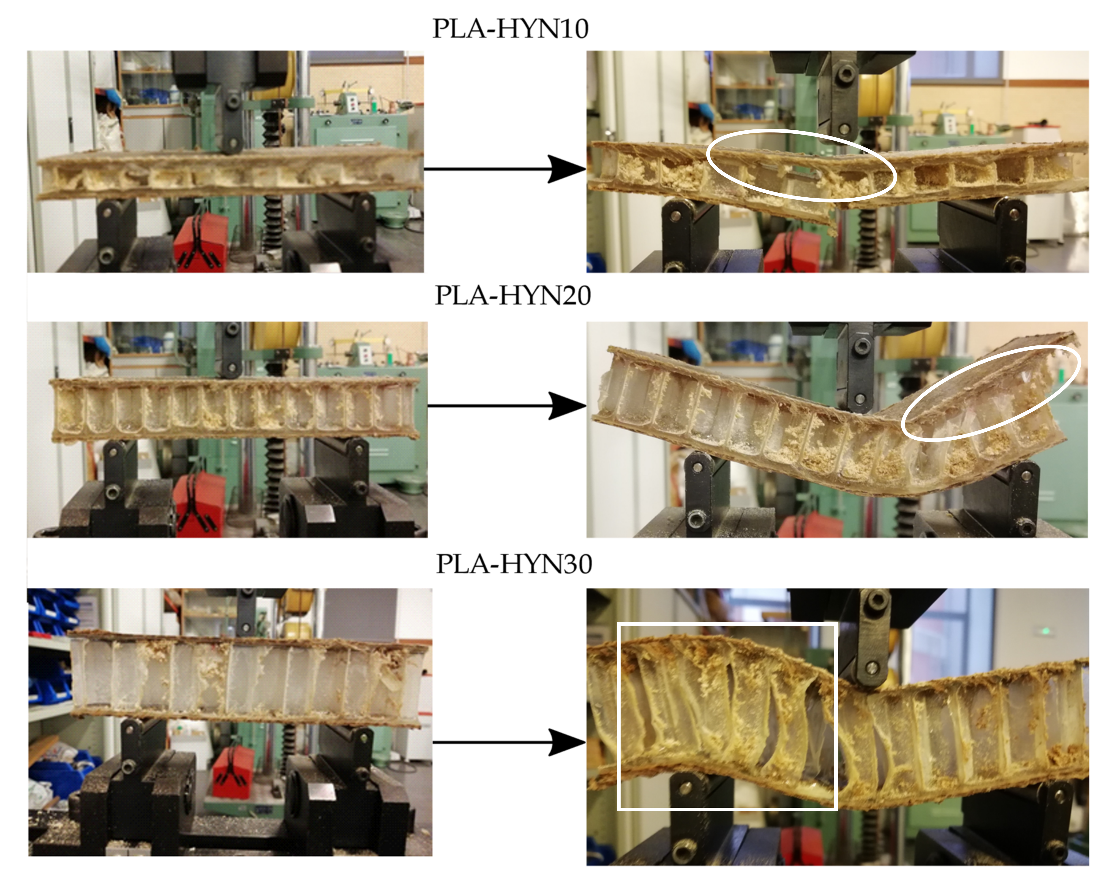 Polymers 13 00342 g003