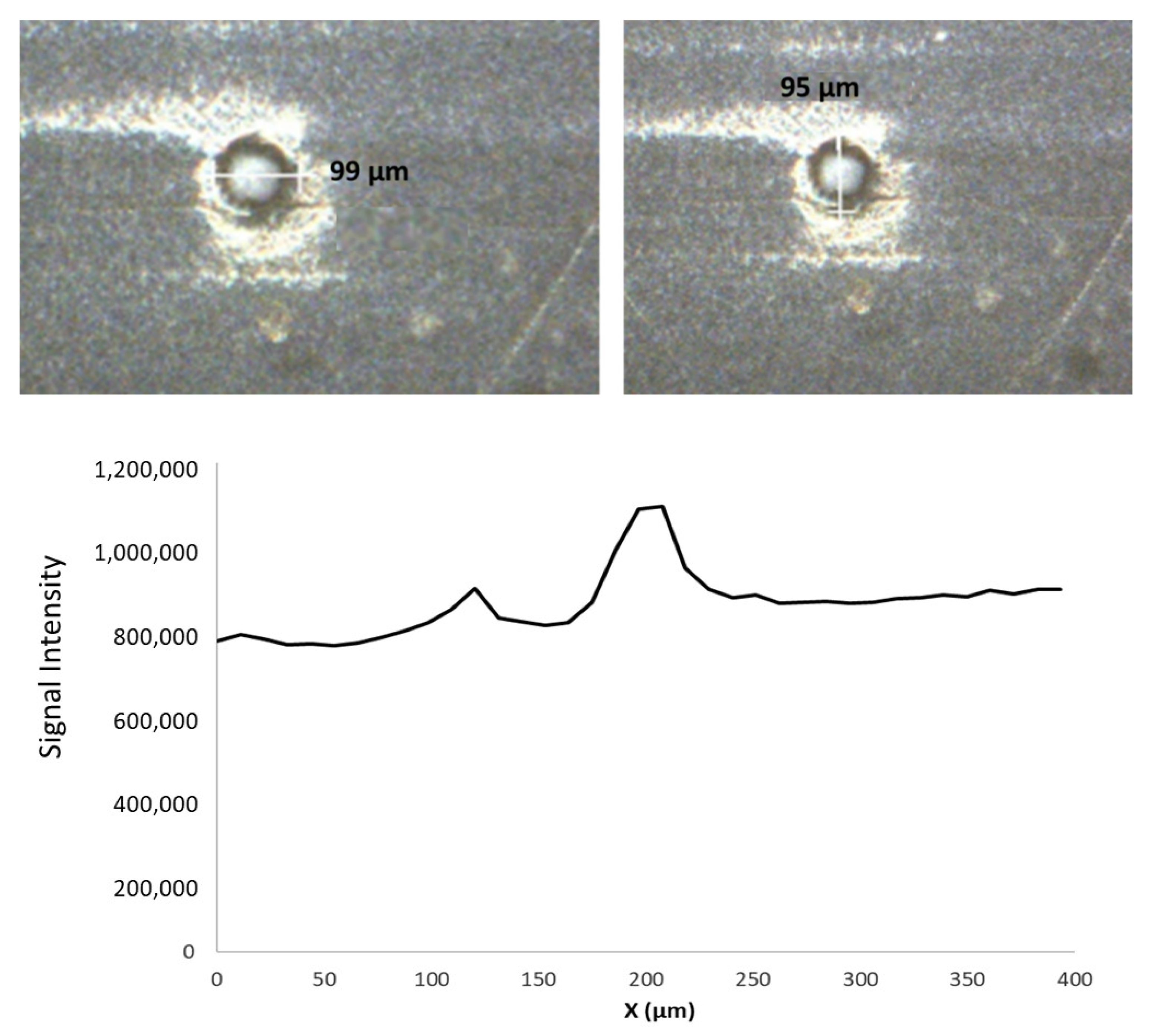 Polymers 13 00345 g004