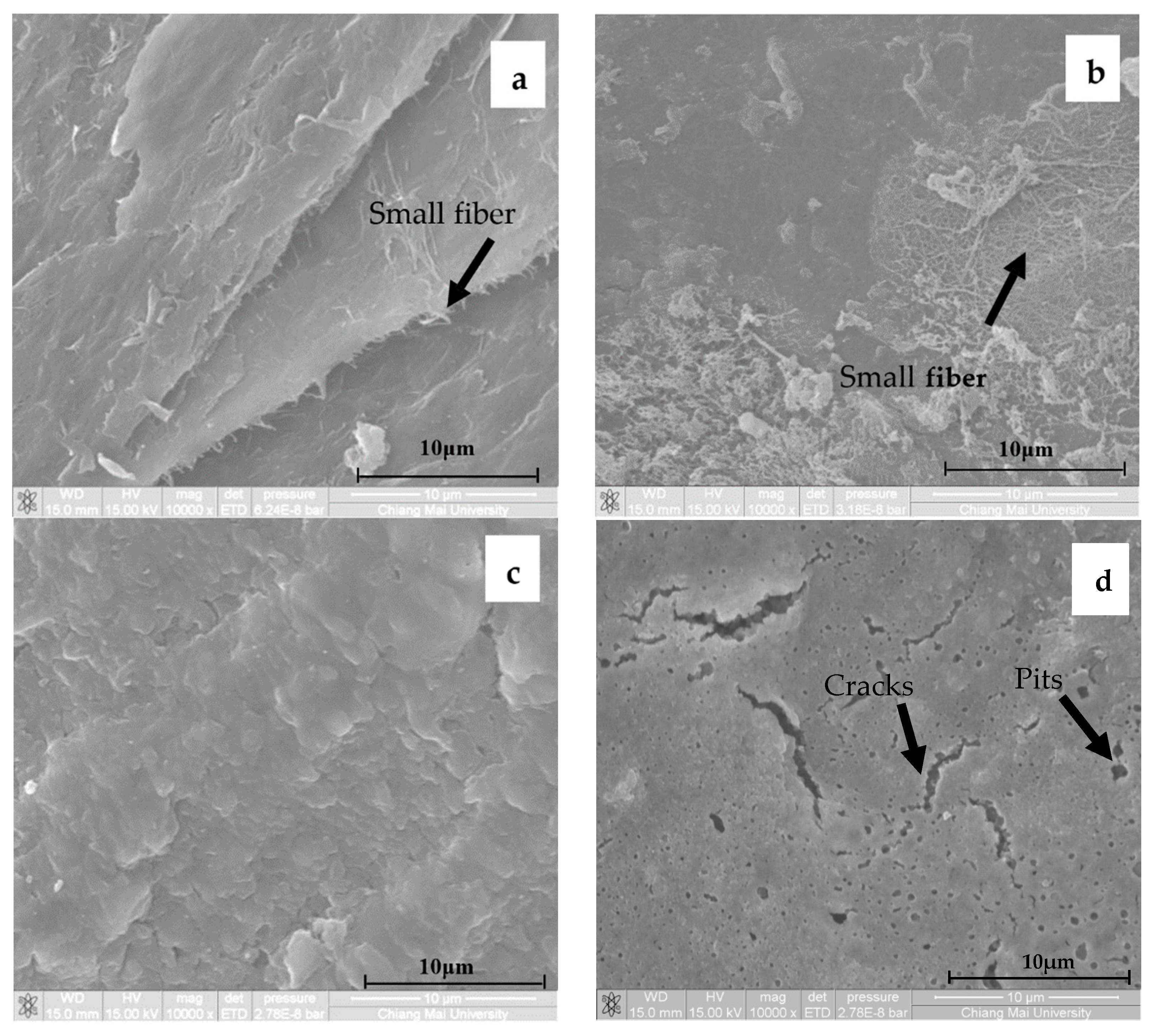Polymers 13 00348 g007a Polymers 13 00348 g007a