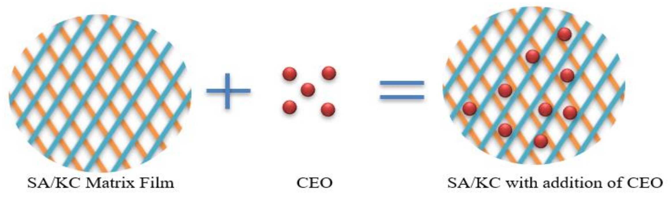 Polymers 13 00354 g007