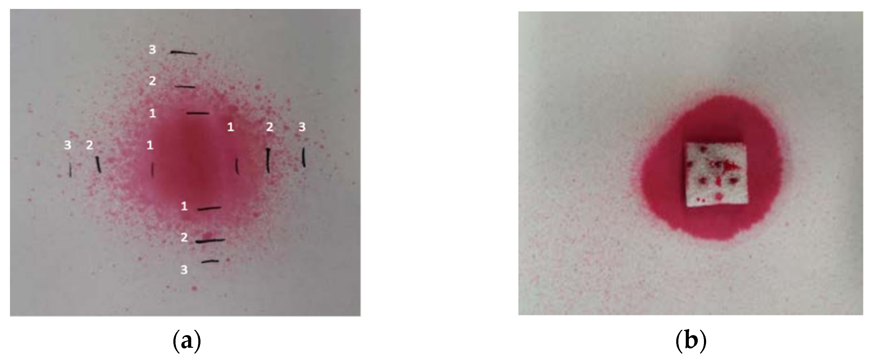 Polymers 13 00355 g002