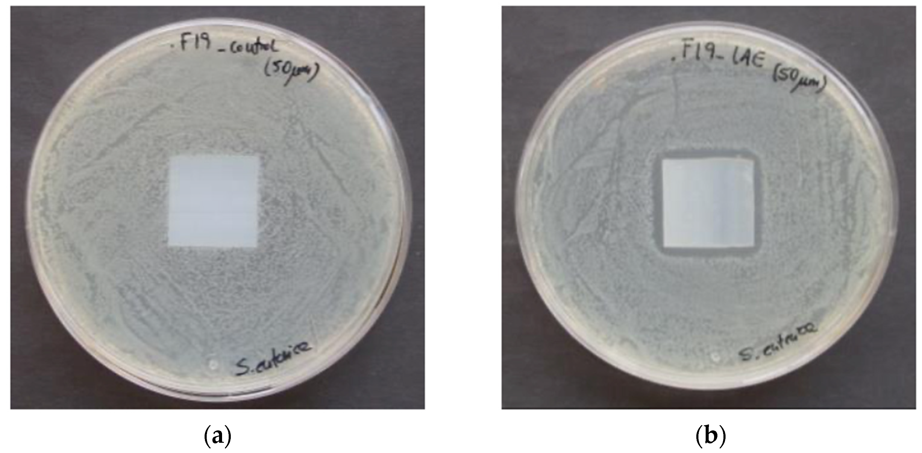 Polymers 13 00355 g004