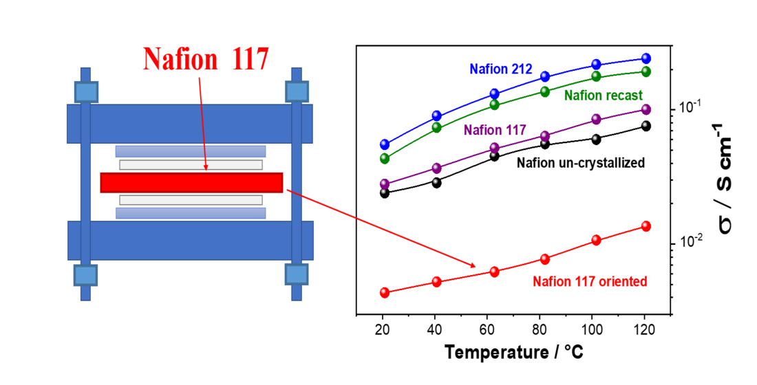 Polymers Free FullText How the Morphology of NafionBased