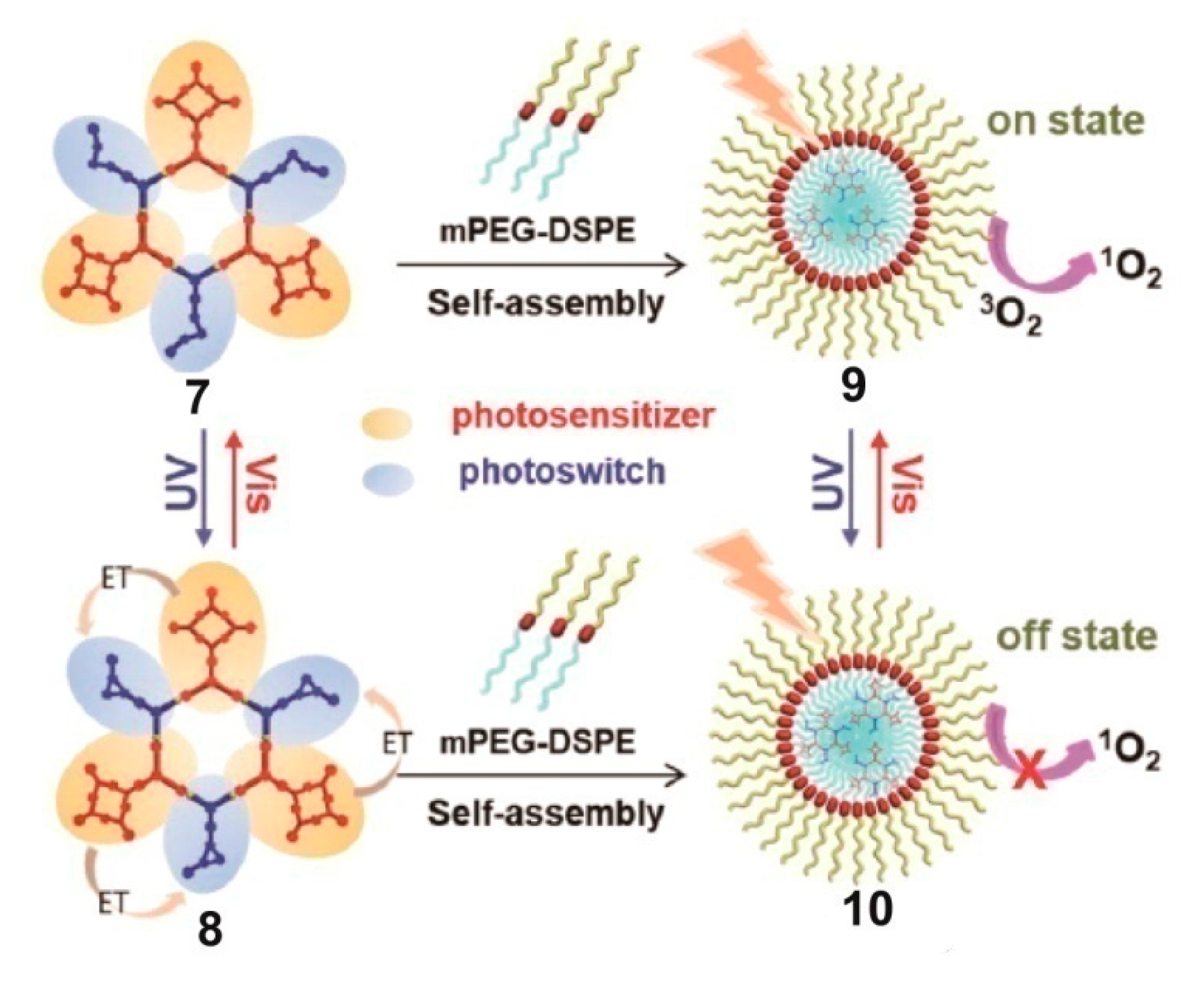 Polymers 13 00370 g003