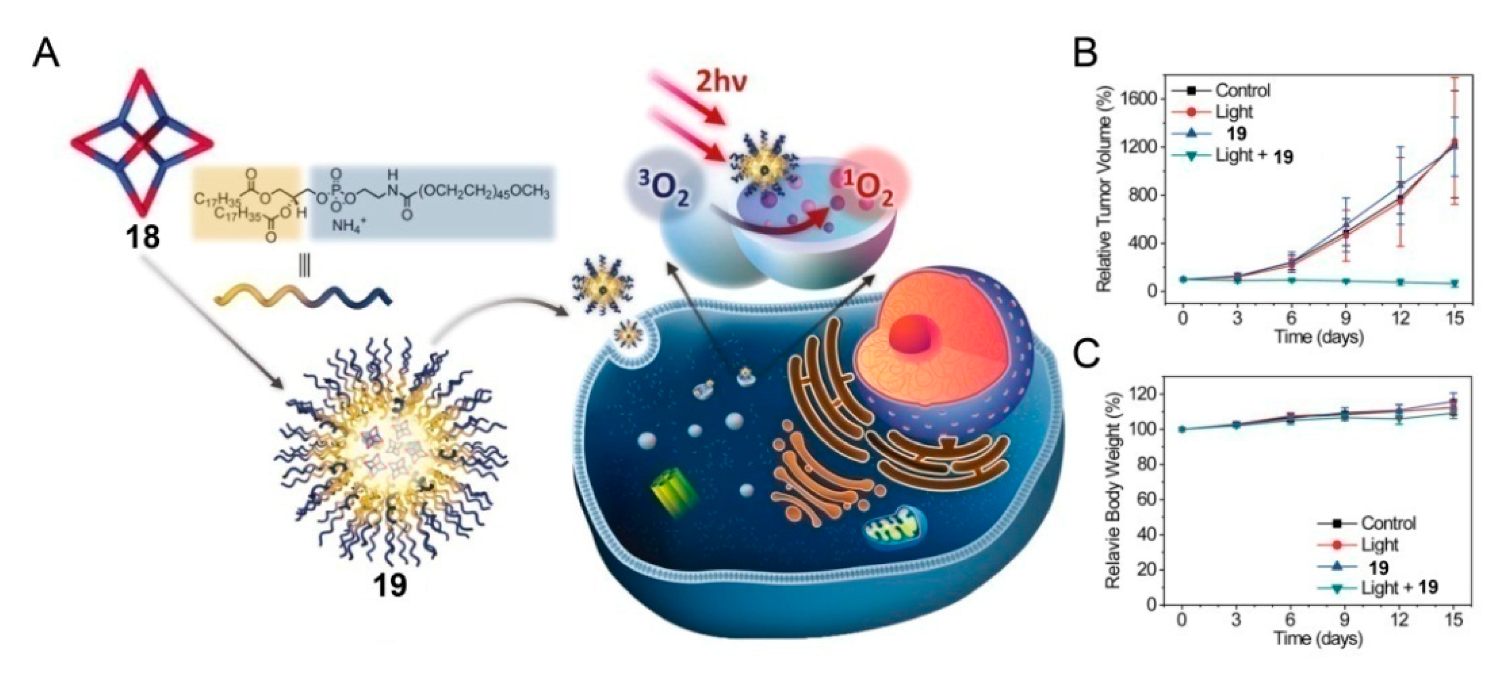 Polymers 13 00370 g005