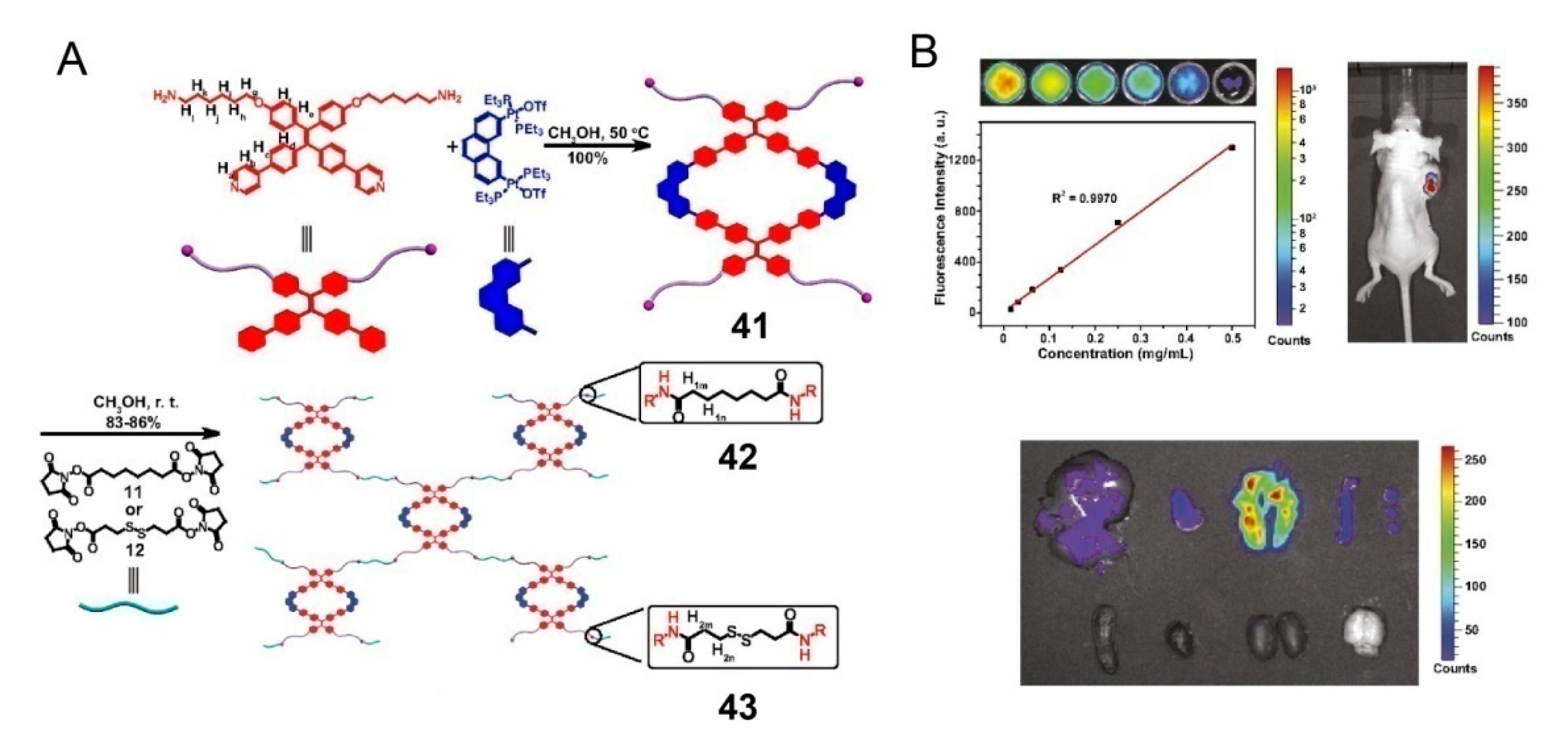 Polymers 13 00370 g011
