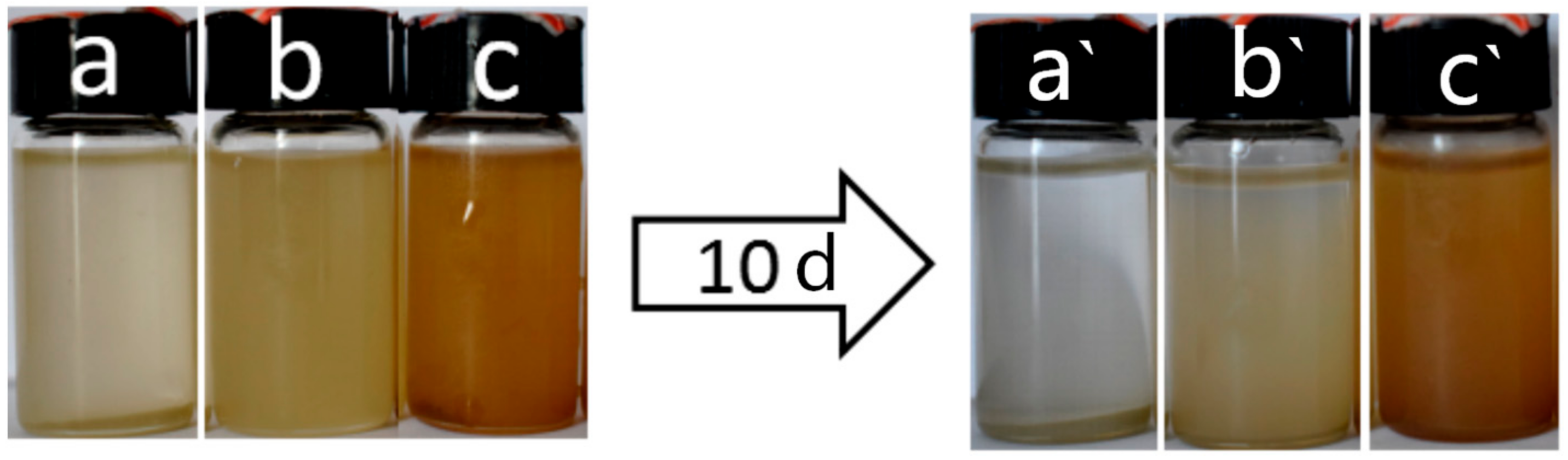 Polymers 13 00378 g005