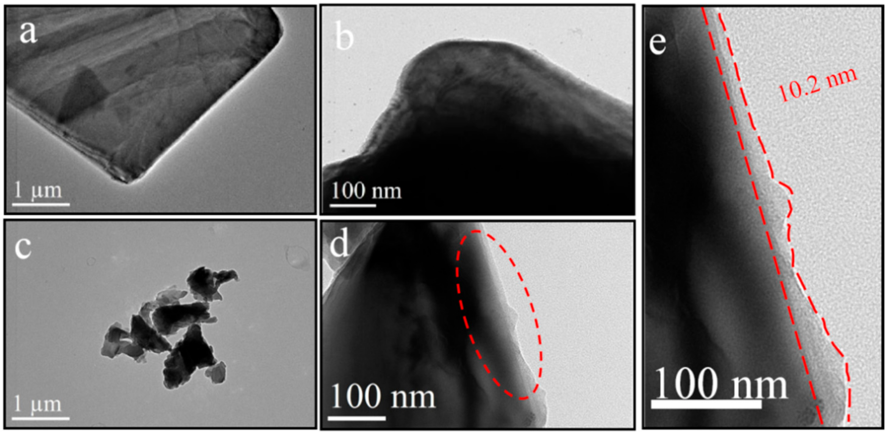 Polymers 13 00378 g006