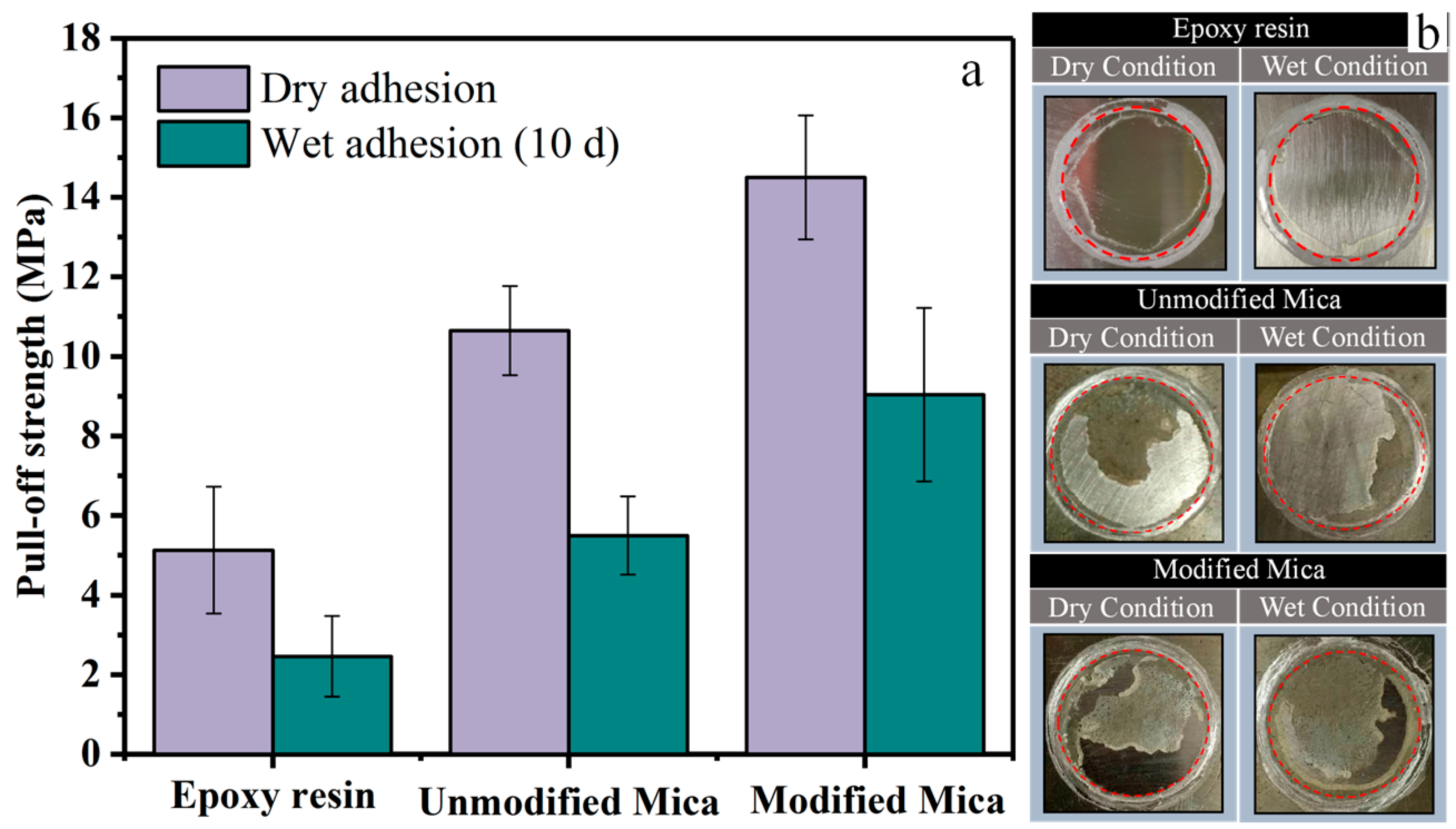 Polymers 13 00378 g010