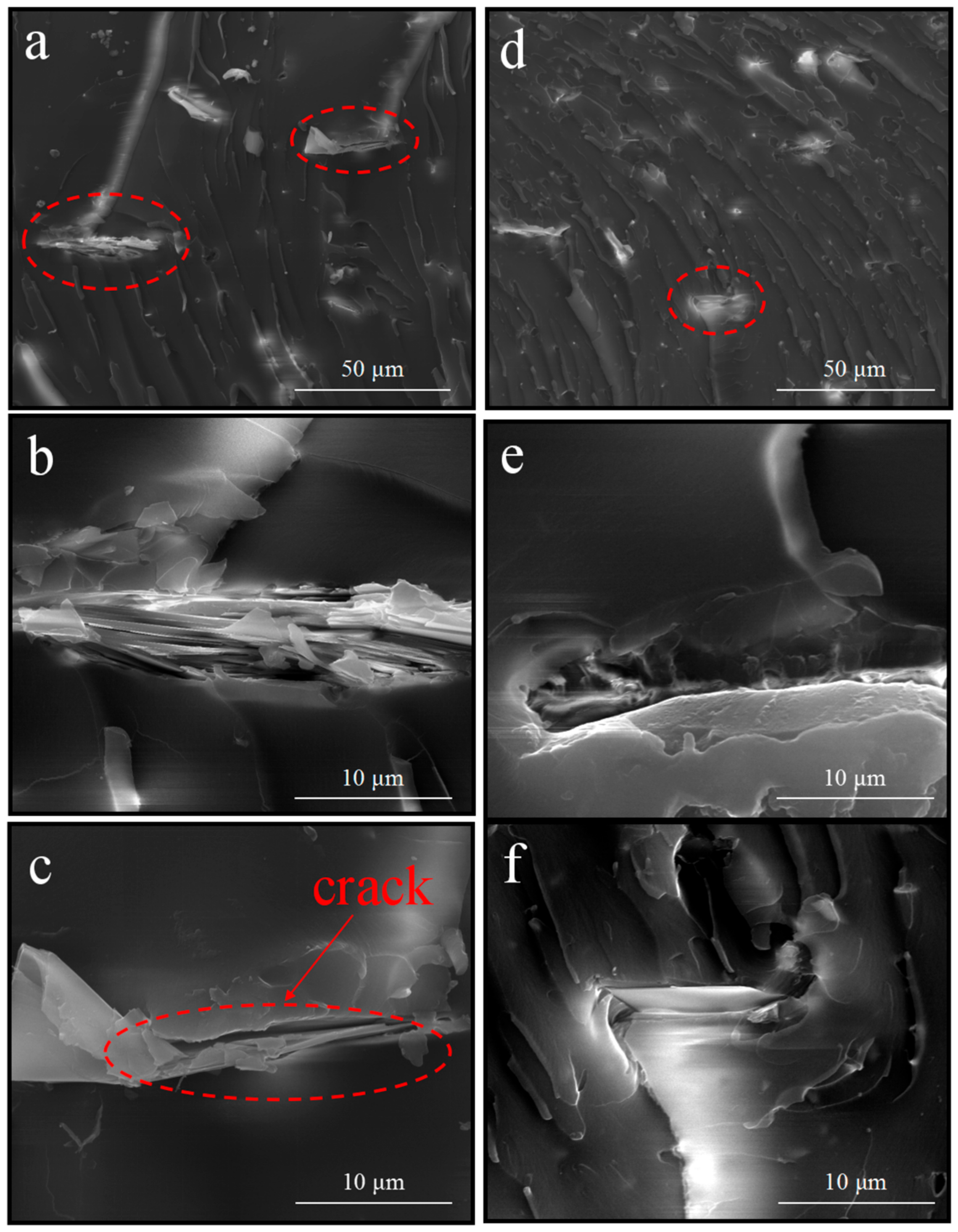 Polymers 13 00378 g012