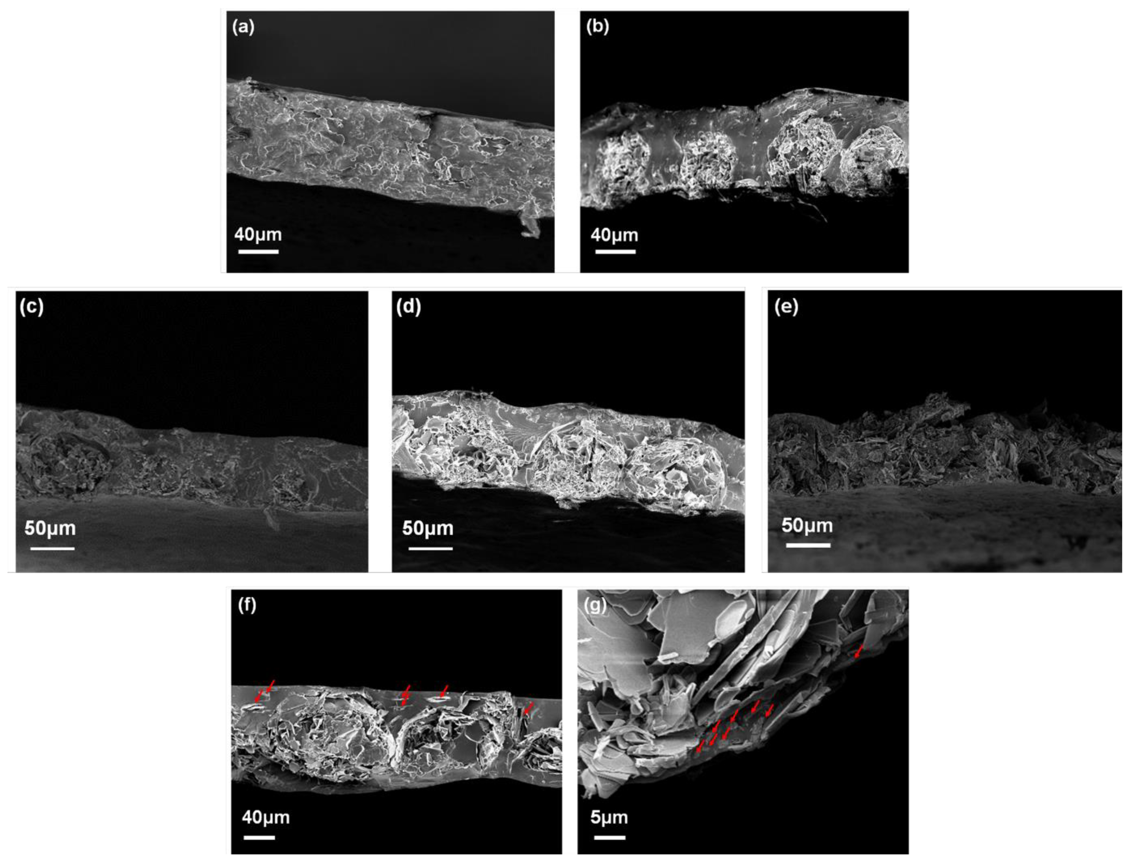 Polymers 13 00379 g005