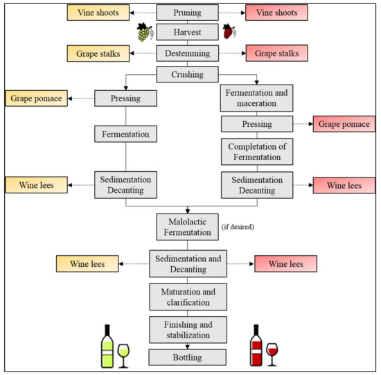 Wine By-Products as Raw Materials for the Production of 