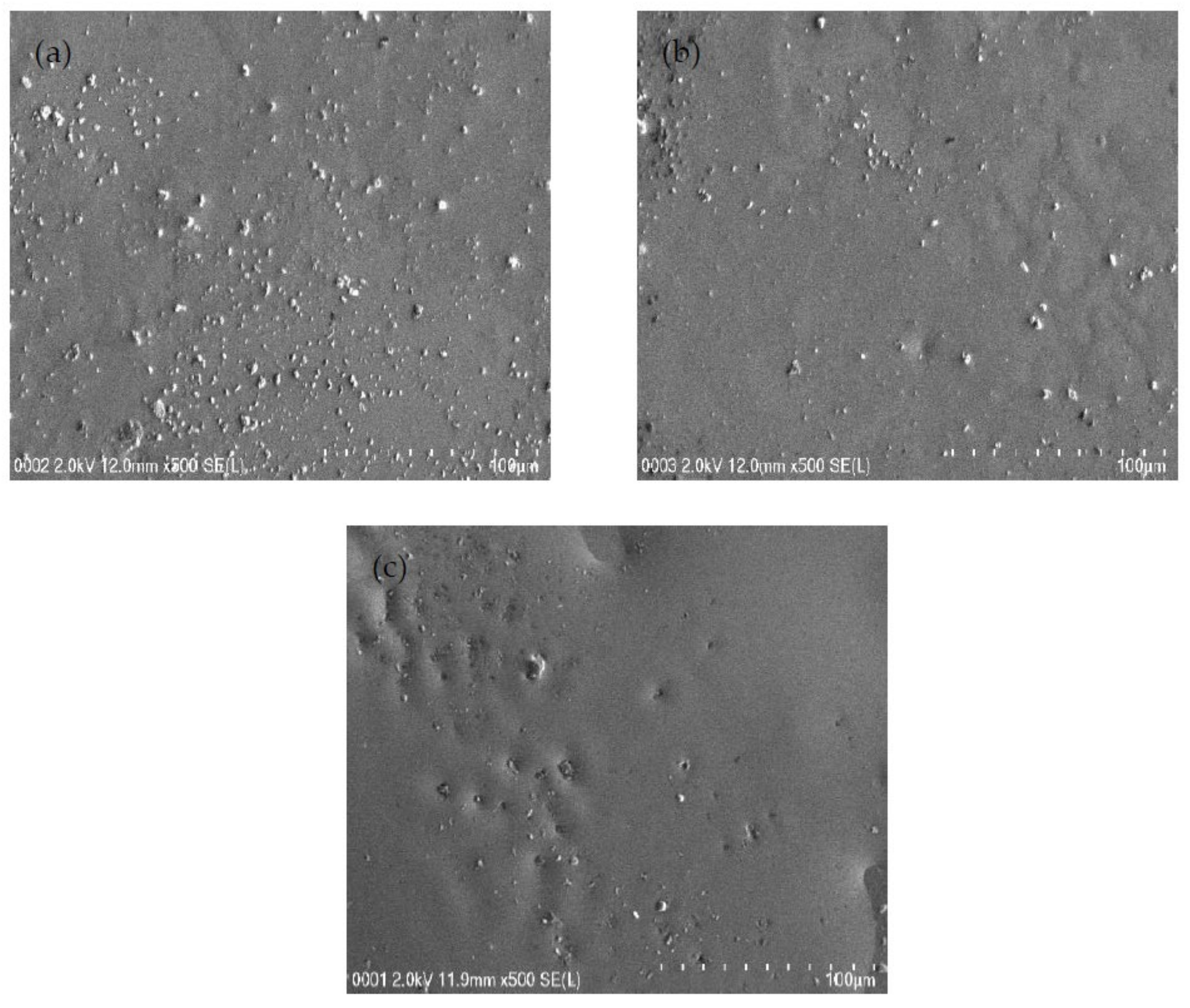 Polymers 13 00383 g003