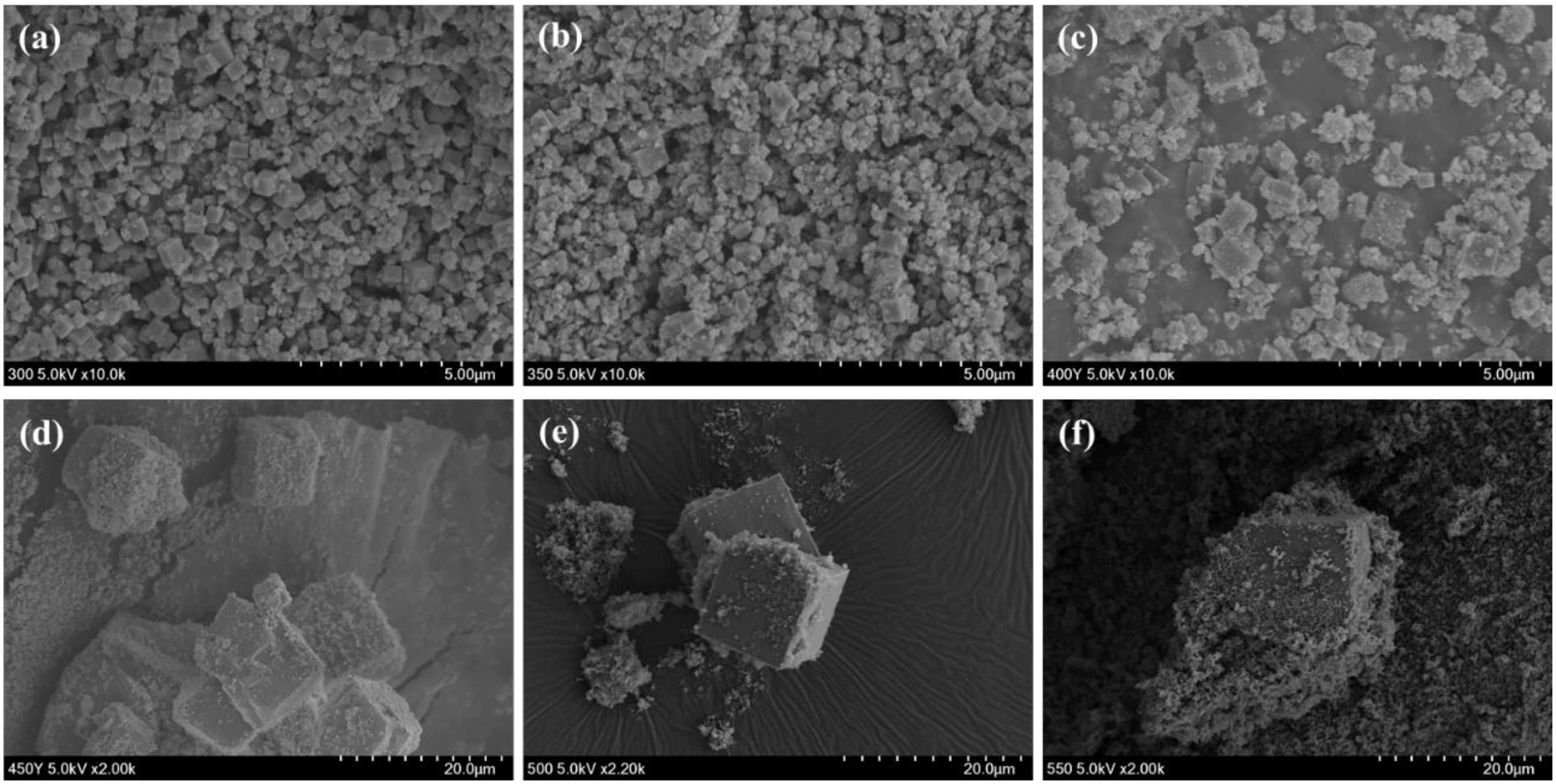 Polymers 13 00387 g002