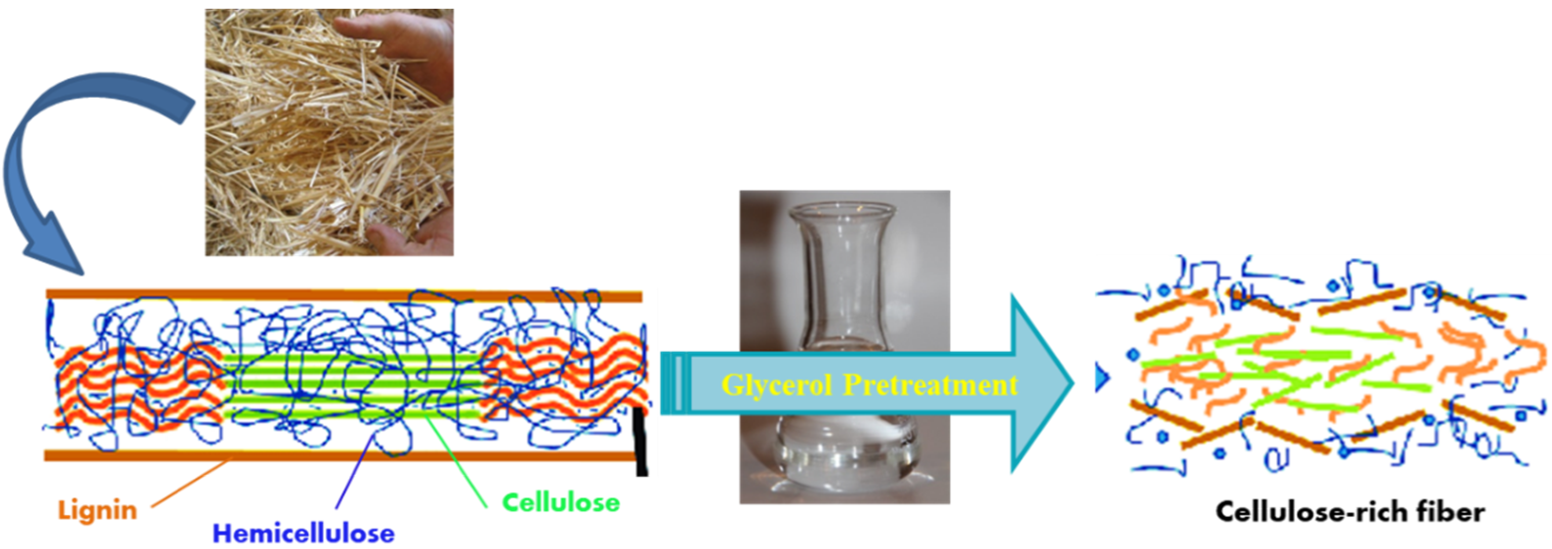 Polymers 13 00388 g003 Polymers 13 00388 g003