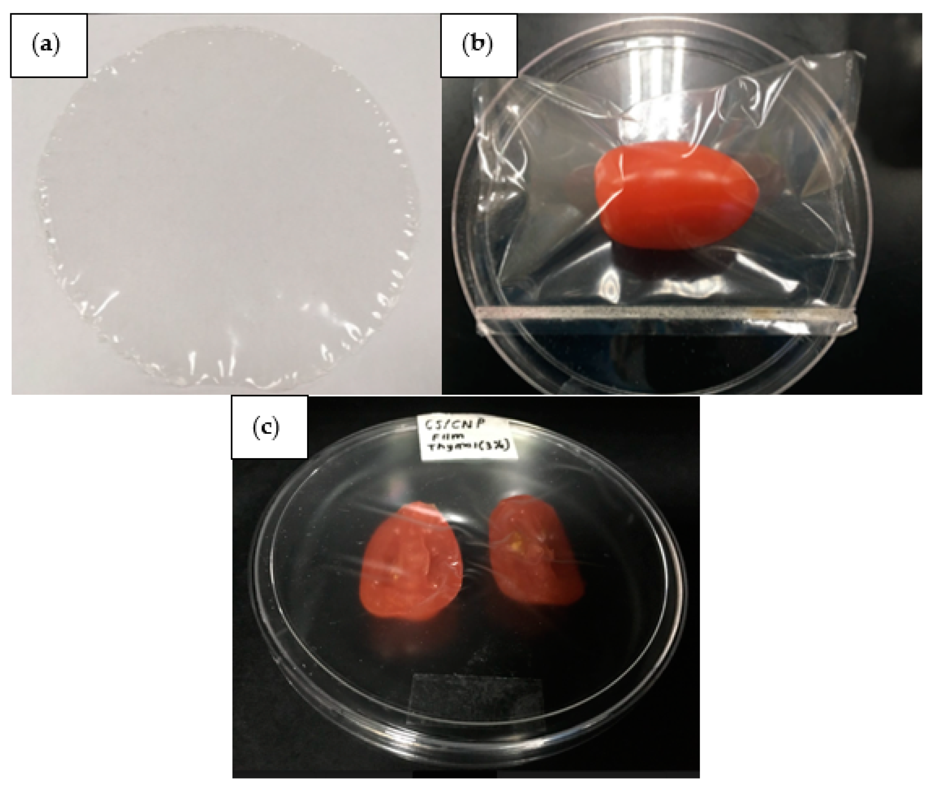 Polymers 13 00390 g002