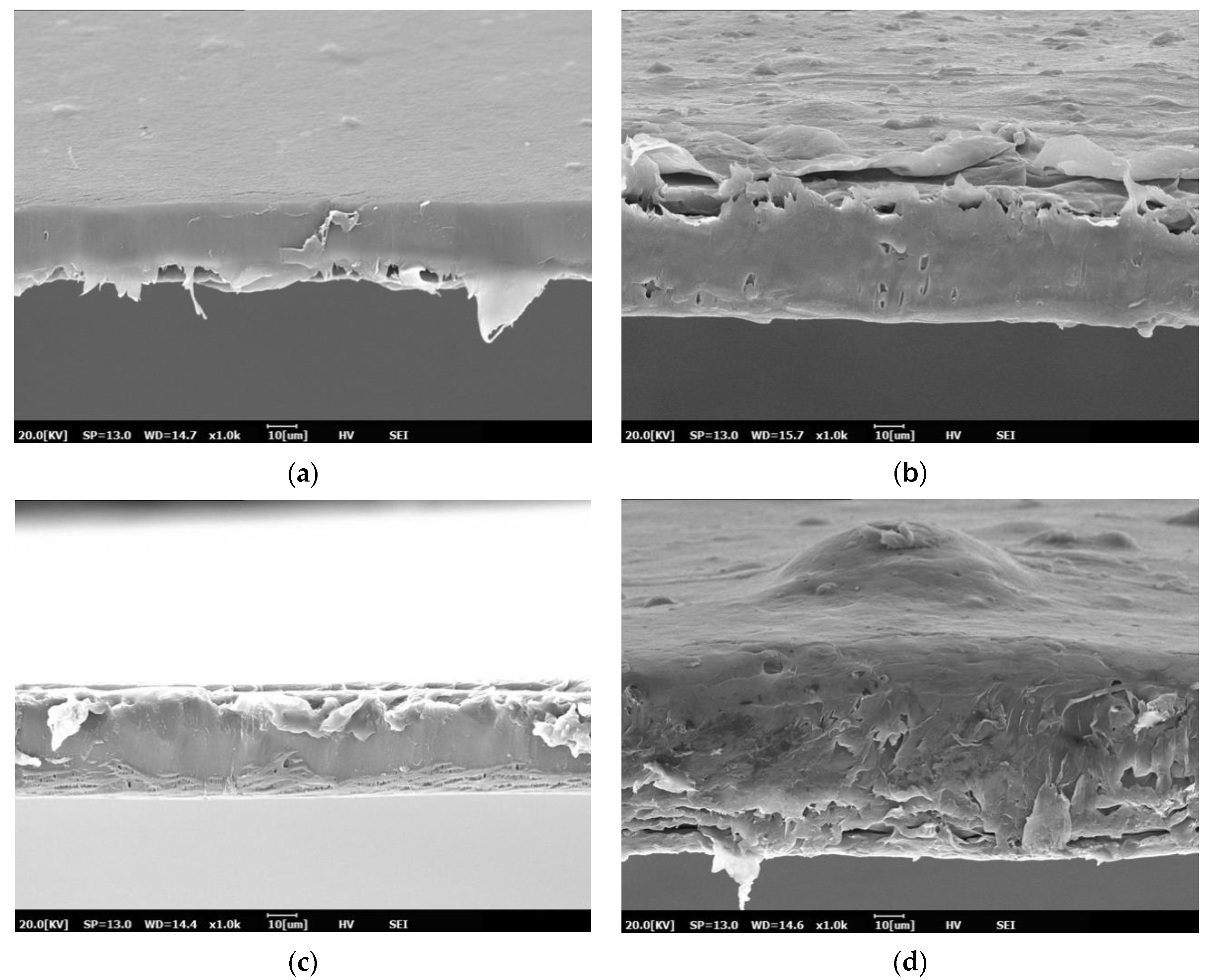Polymers 13 00391 g001a Polymers 13 00391 g001a