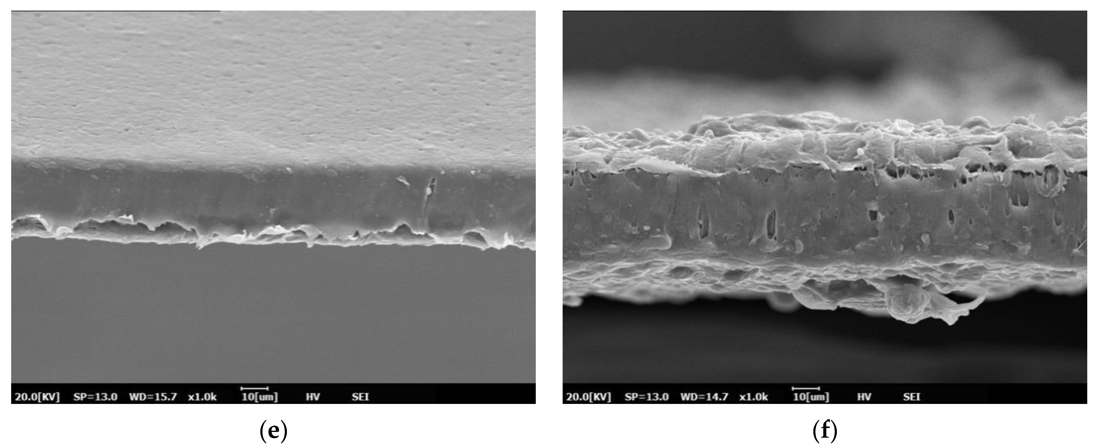 Polymers 13 00391 g001b Polymers 13 00391 g001b