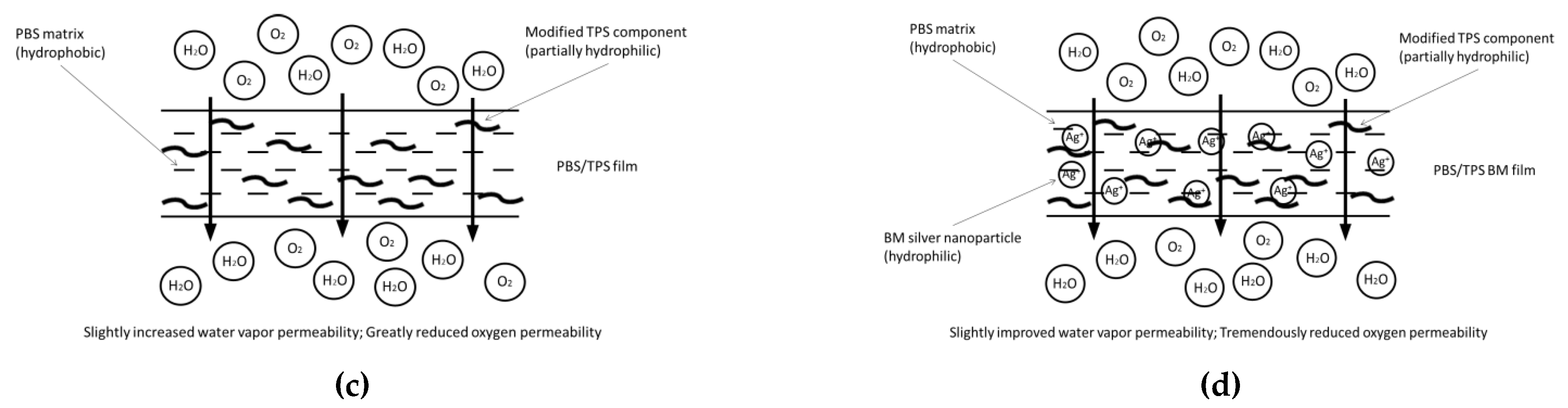 Polymers 13 00391 g006b Polymers 13 00391 g006b