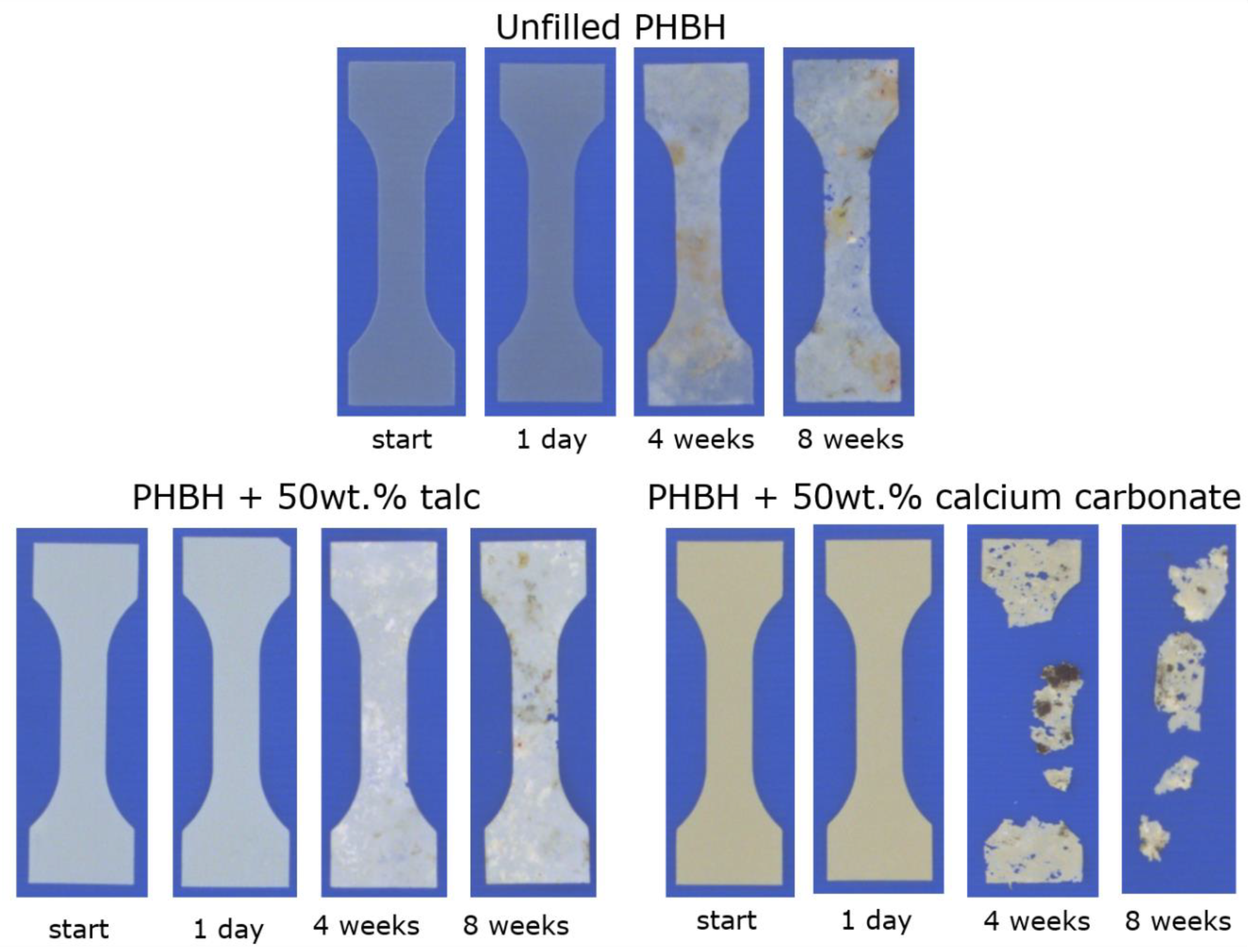 Polymers 13 00394 g007 Polymers 13 00394 g007