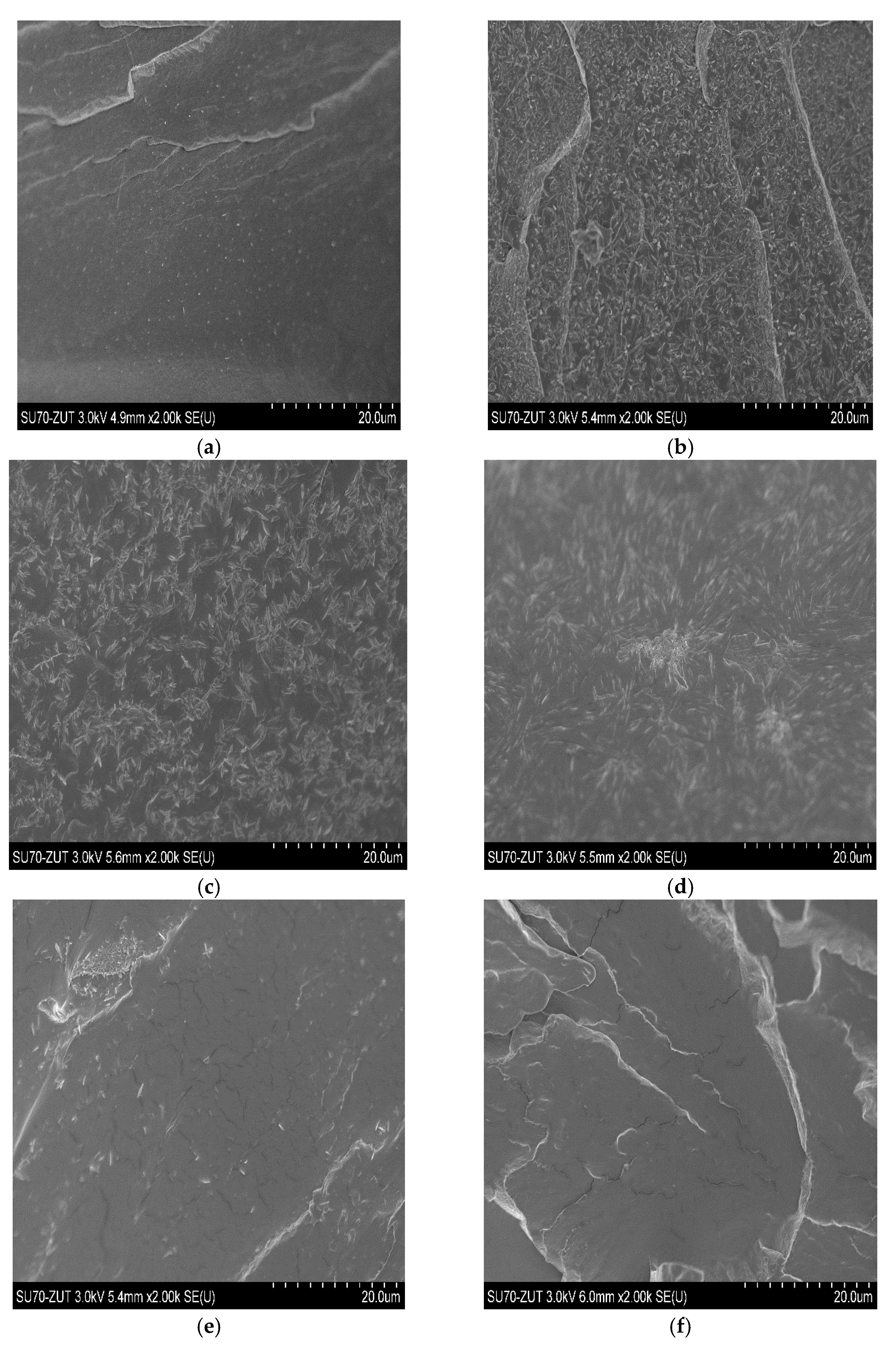 Polymers 13 00397 g007