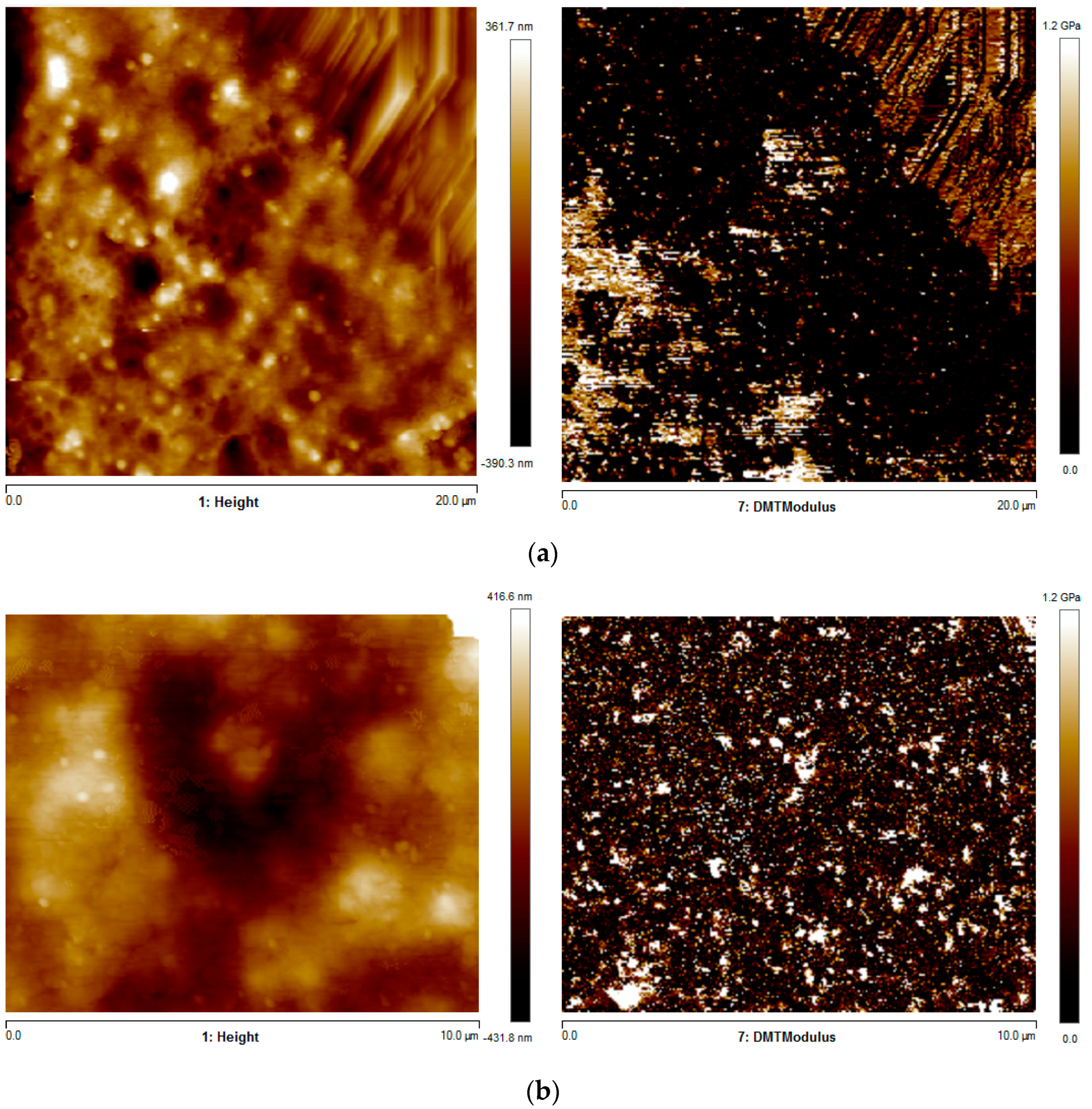 Polymers 13 00399 g010