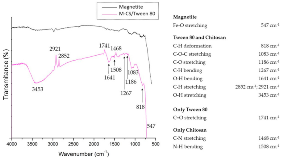 Polymers 13 00400 g002 Polymers 13 00400 g002