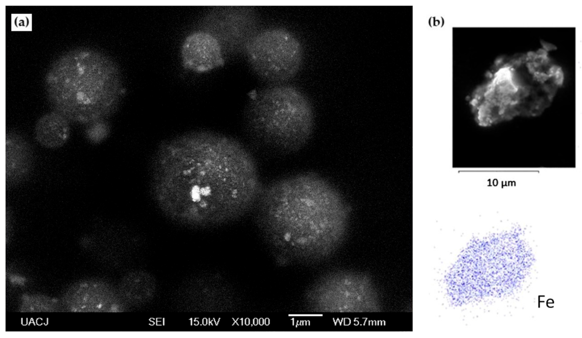 Polymers 13 00400 g005 Polymers 13 00400 g005
