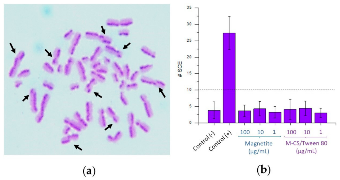 Polymers 13 00400 g010 Polymers 13 00400 g010