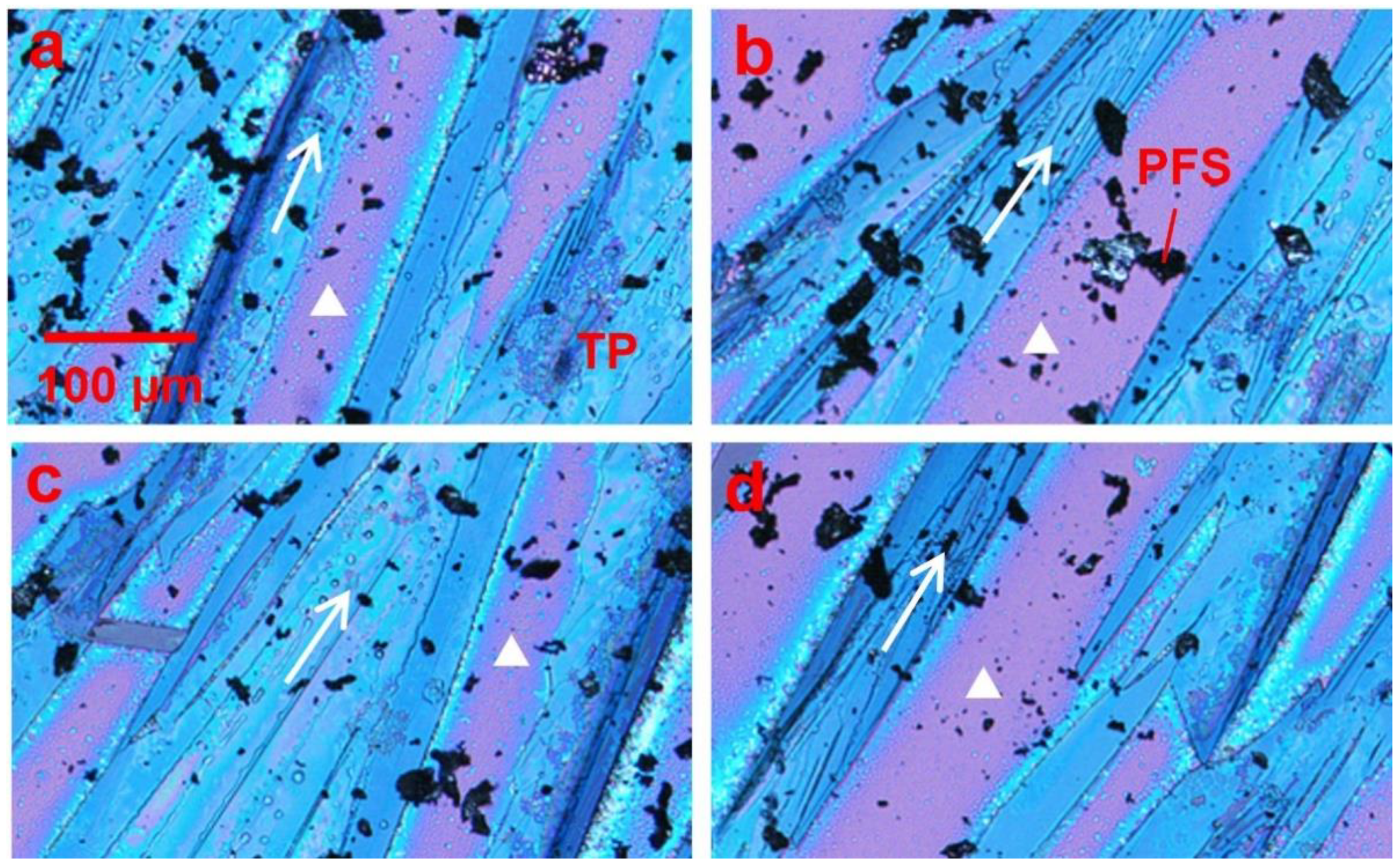 Polymers 13 00402 g002