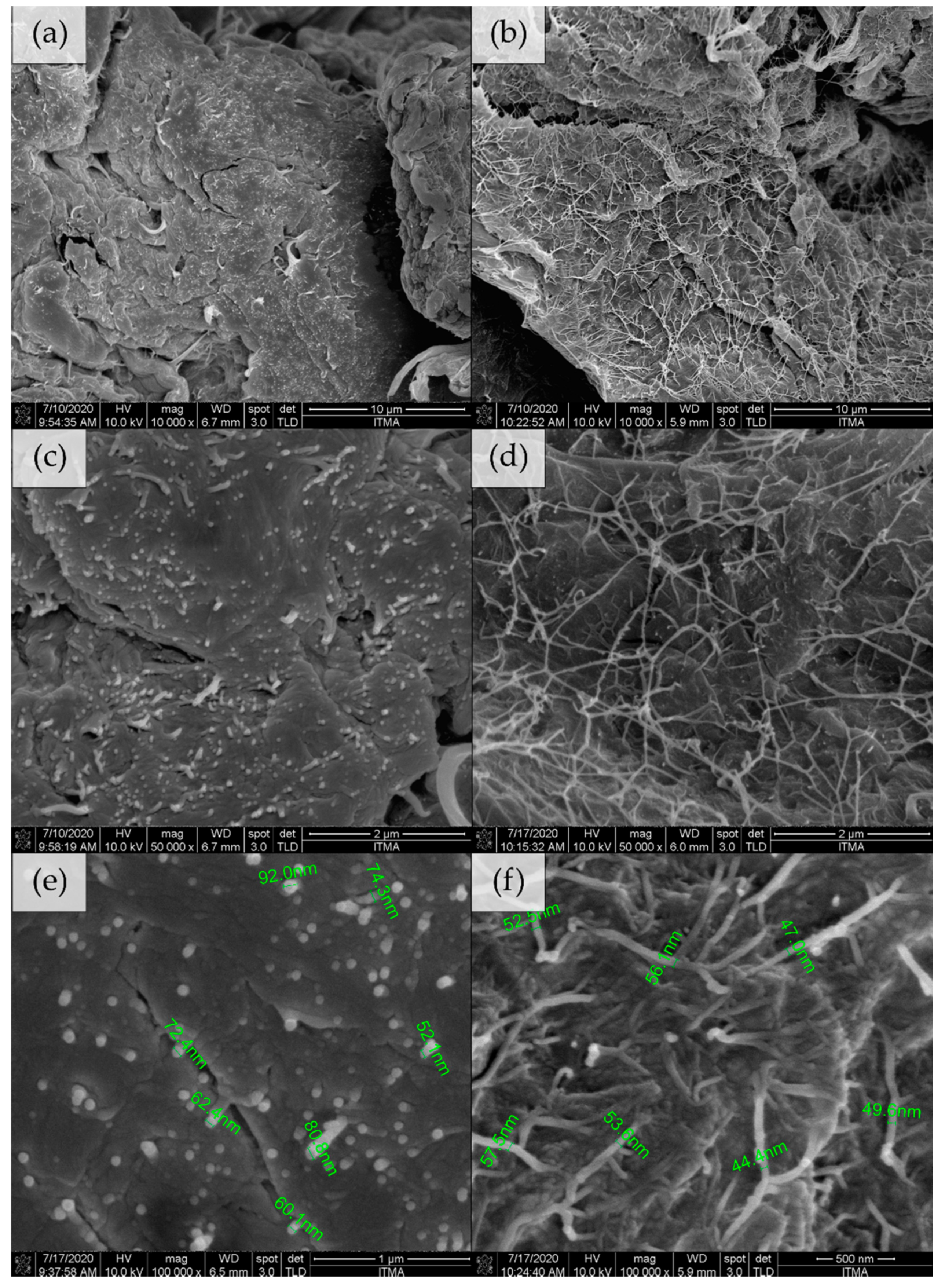 Polymers 13 00404 g006 Polymers 13 00404 g006