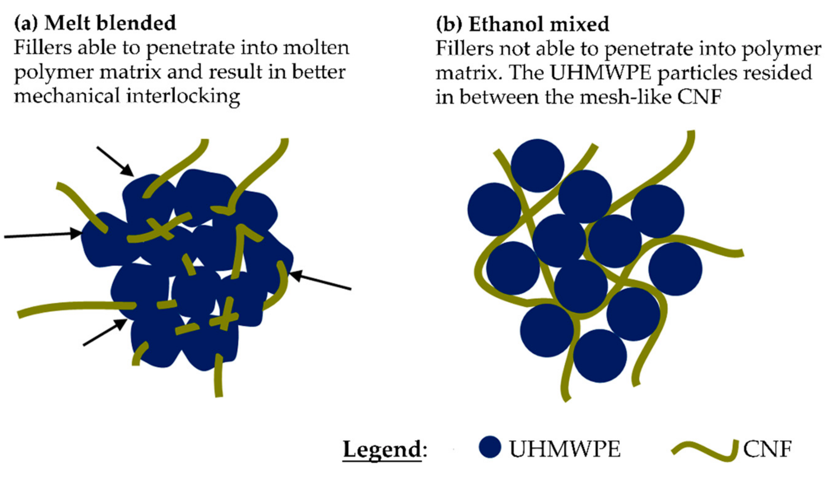 Polymers 13 00404 g008 Polymers 13 00404 g008