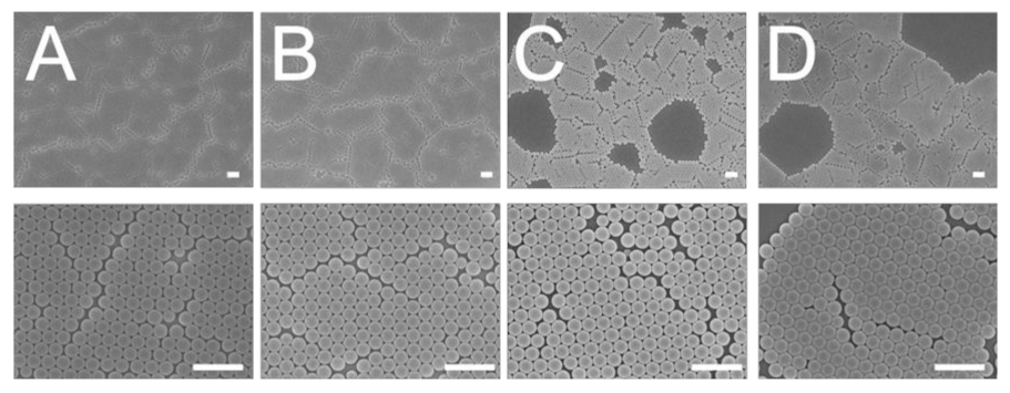Polymers 13 00405 g003 Polymers 13 00405 g003