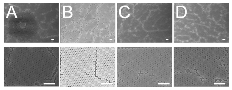 Polymers 13 00405 g005 Polymers 13 00405 g005