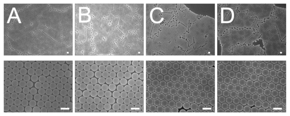 Polymers 13 00405 g006 Polymers 13 00405 g006