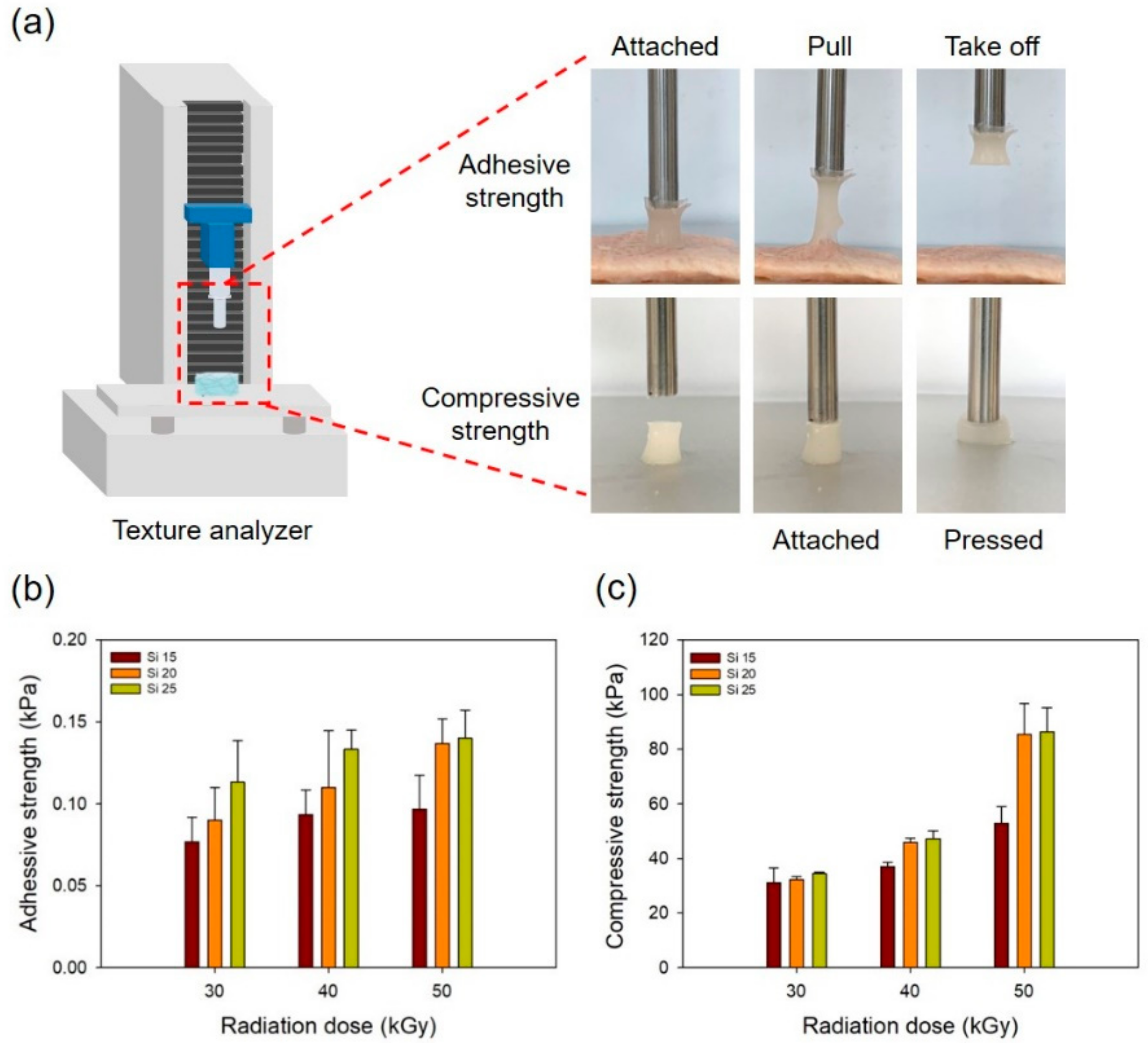 Polymers 13 00406 g005