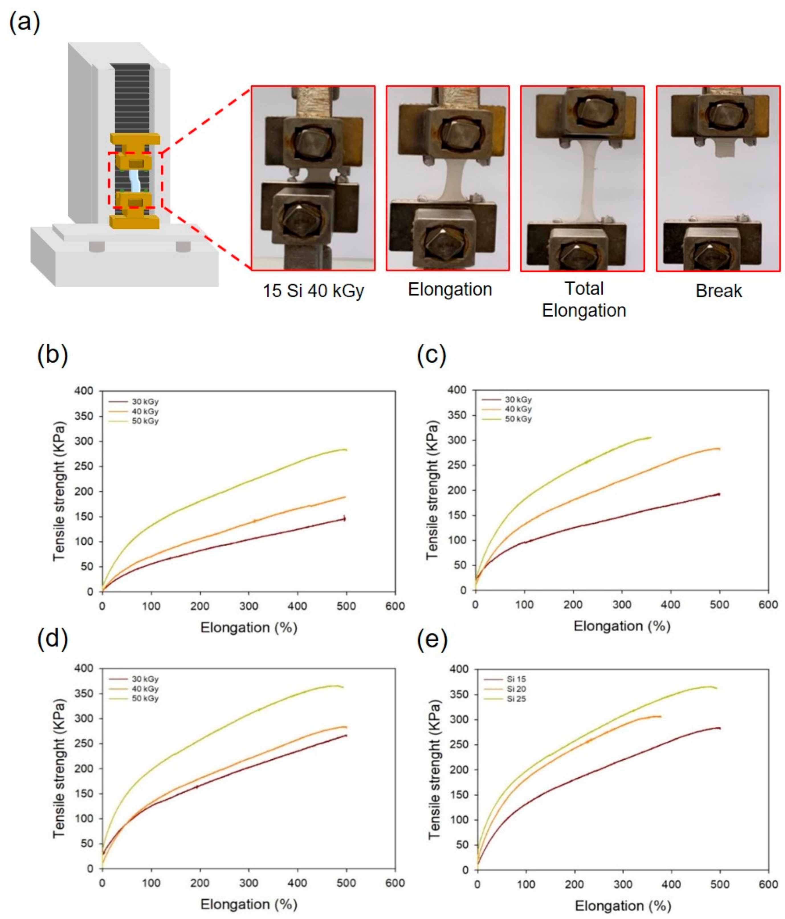 Polymers 13 00406 g006