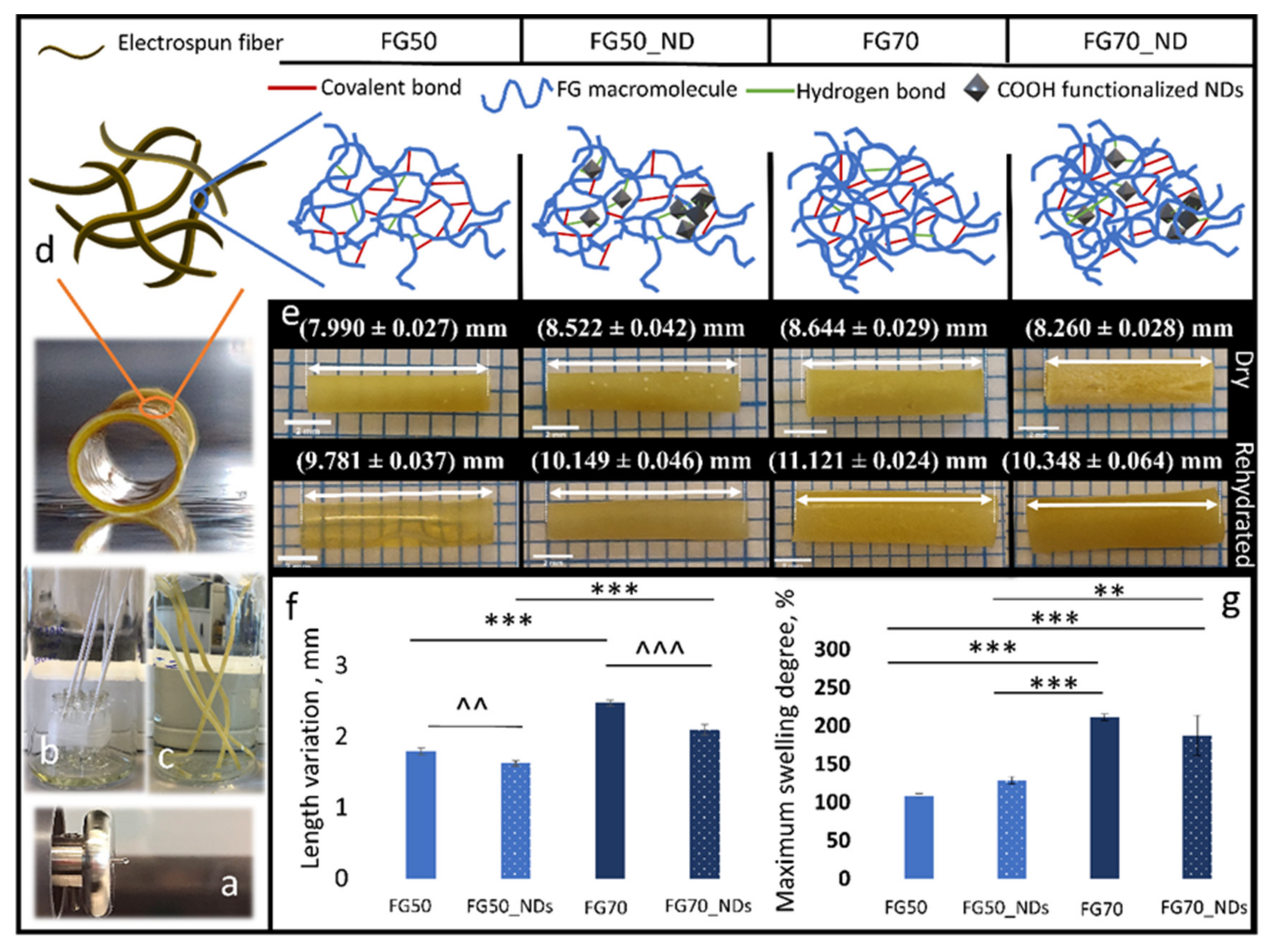 Polymers 13 00407 g001 Polymers 13 00407 g001