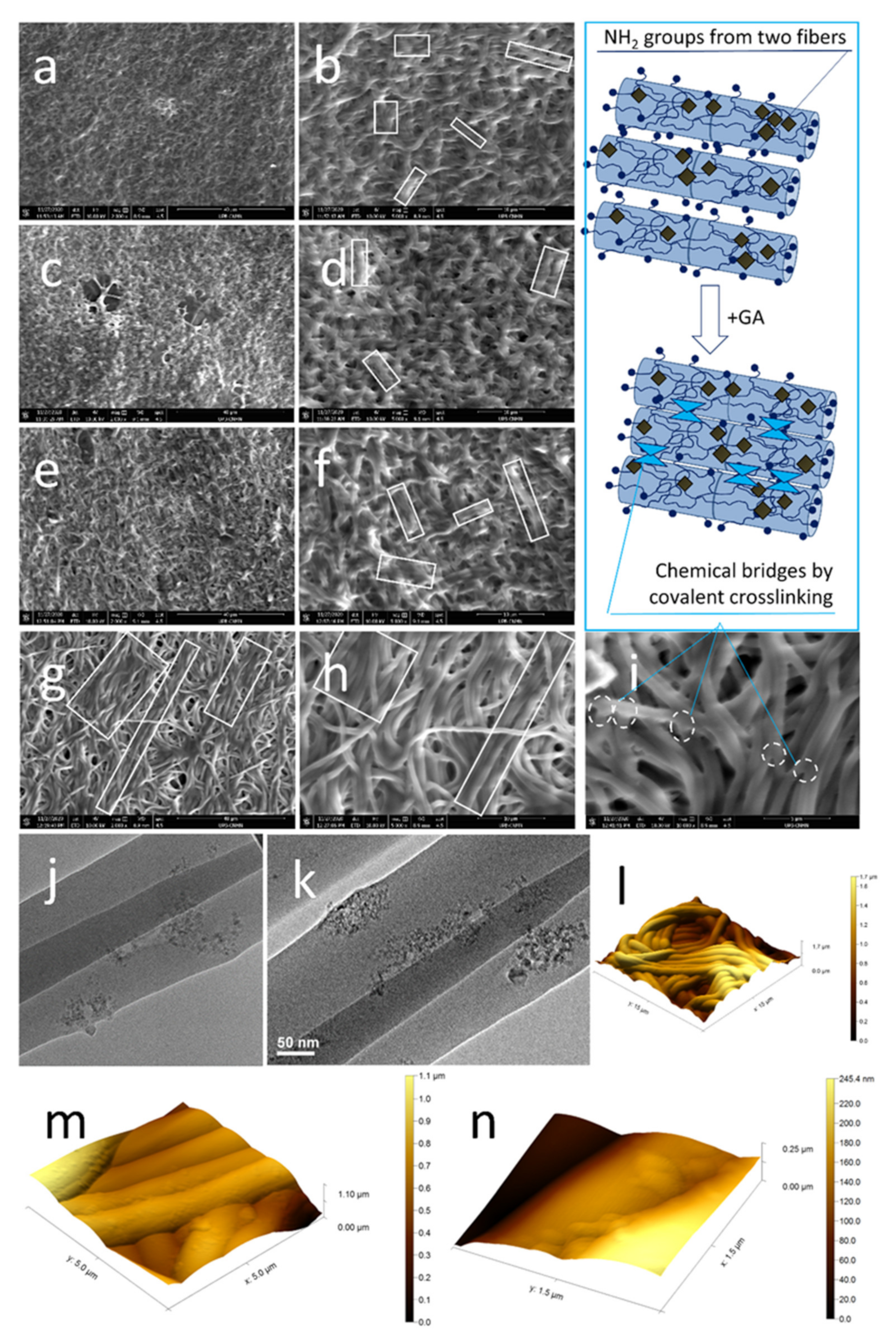Polymers 13 00407 g003 Polymers 13 00407 g003