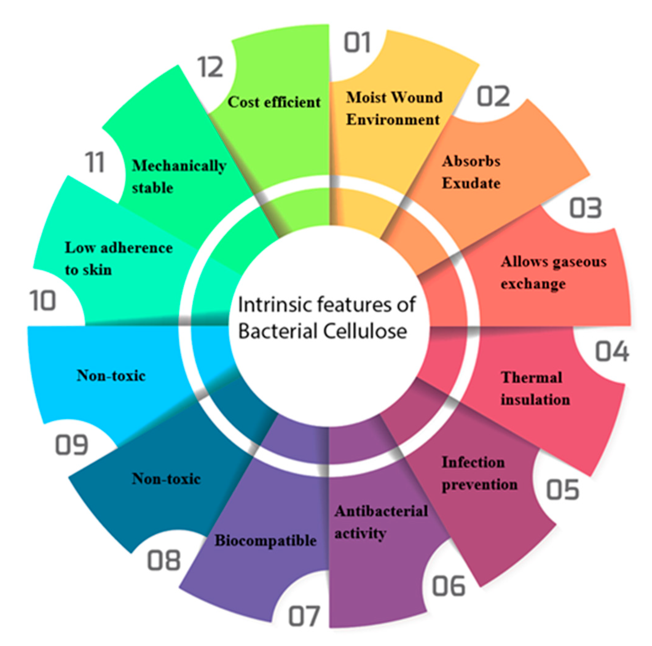 Polymers 13 00412 g004