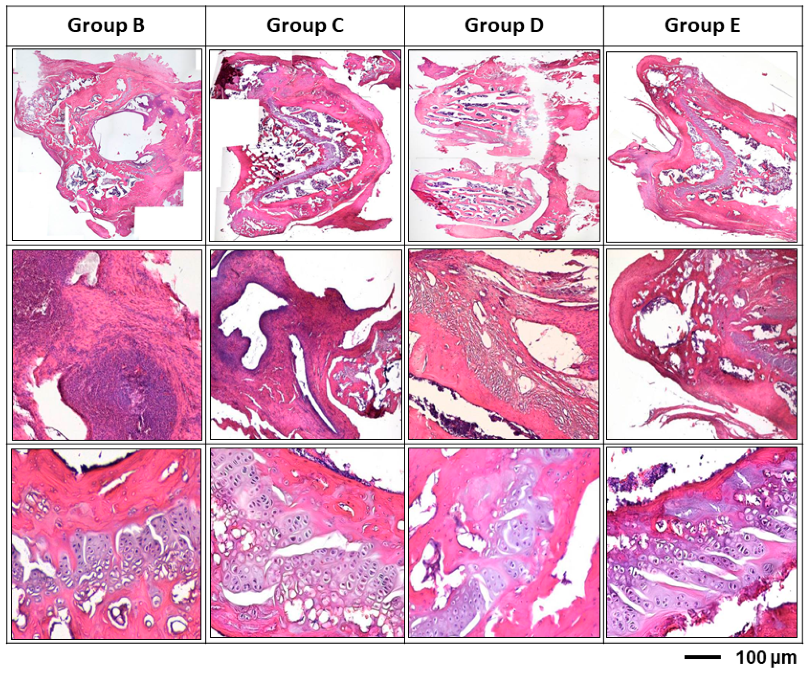 Polymers 13 00414 g008 Polymers 13 00414 g008