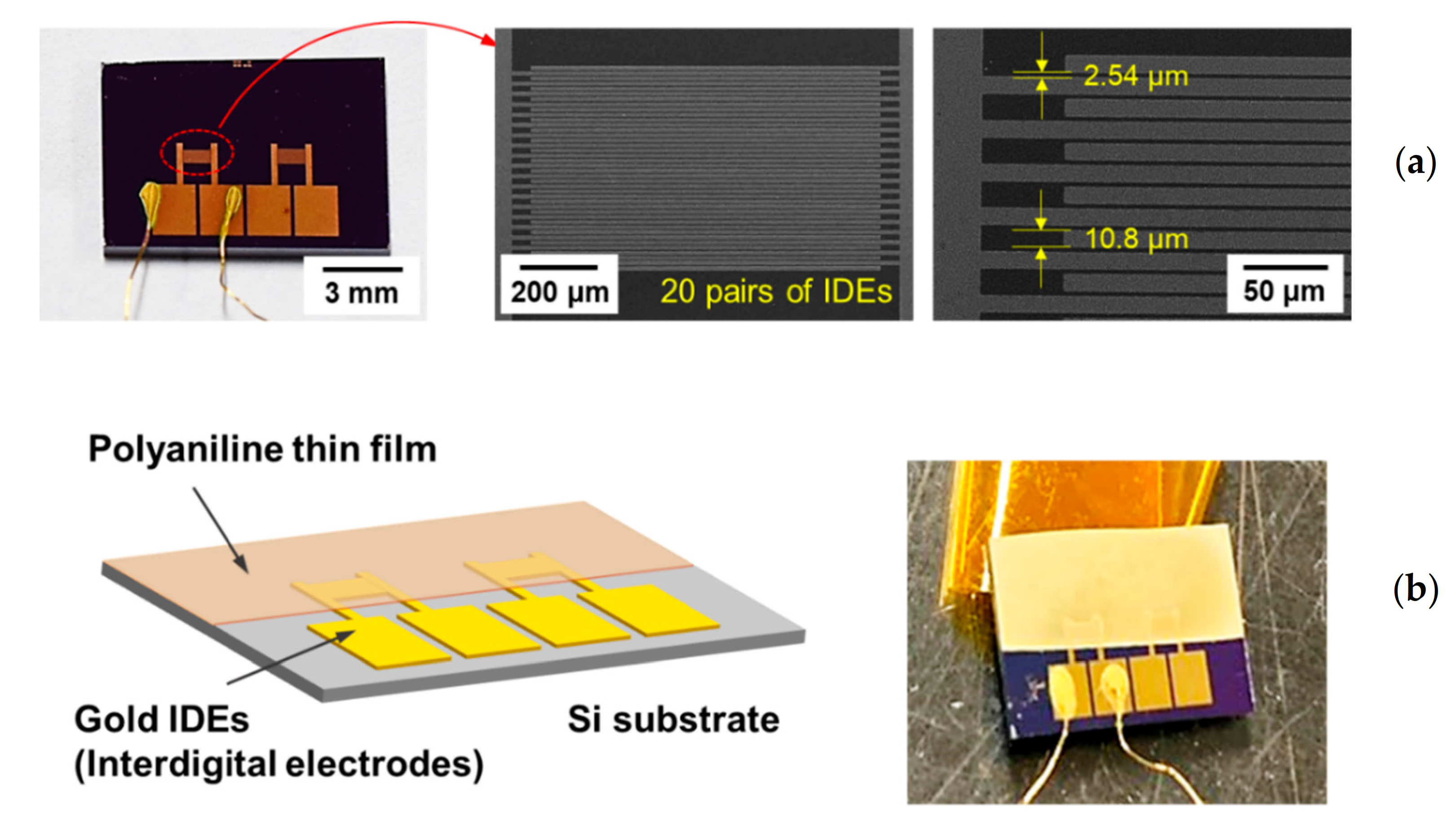 Polymers 13 00418 g006 Polymers 13 00418 g006