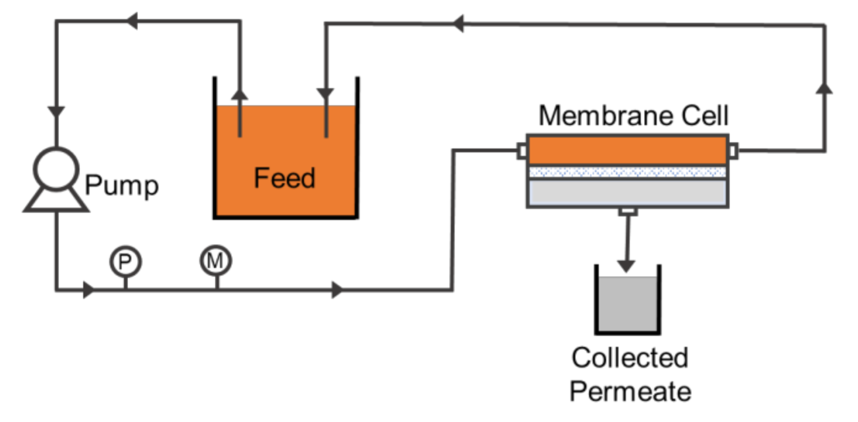 Polymers 13 00427 g002 Polymers 13 00427 g002