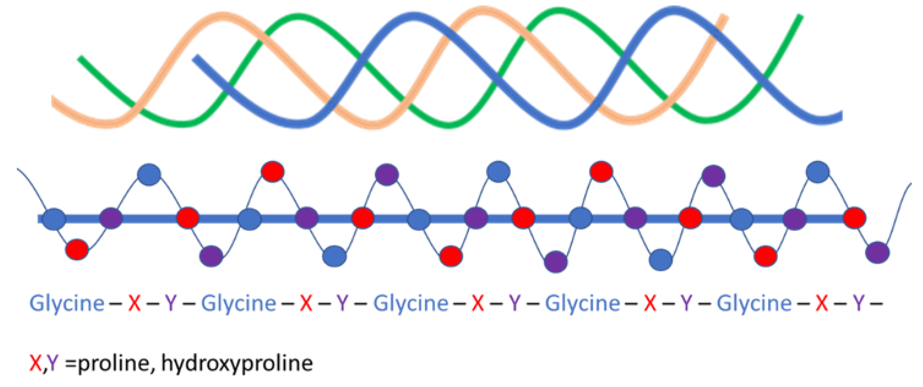 Polymers 13 00429 g001 Polymers 13 00429 g001