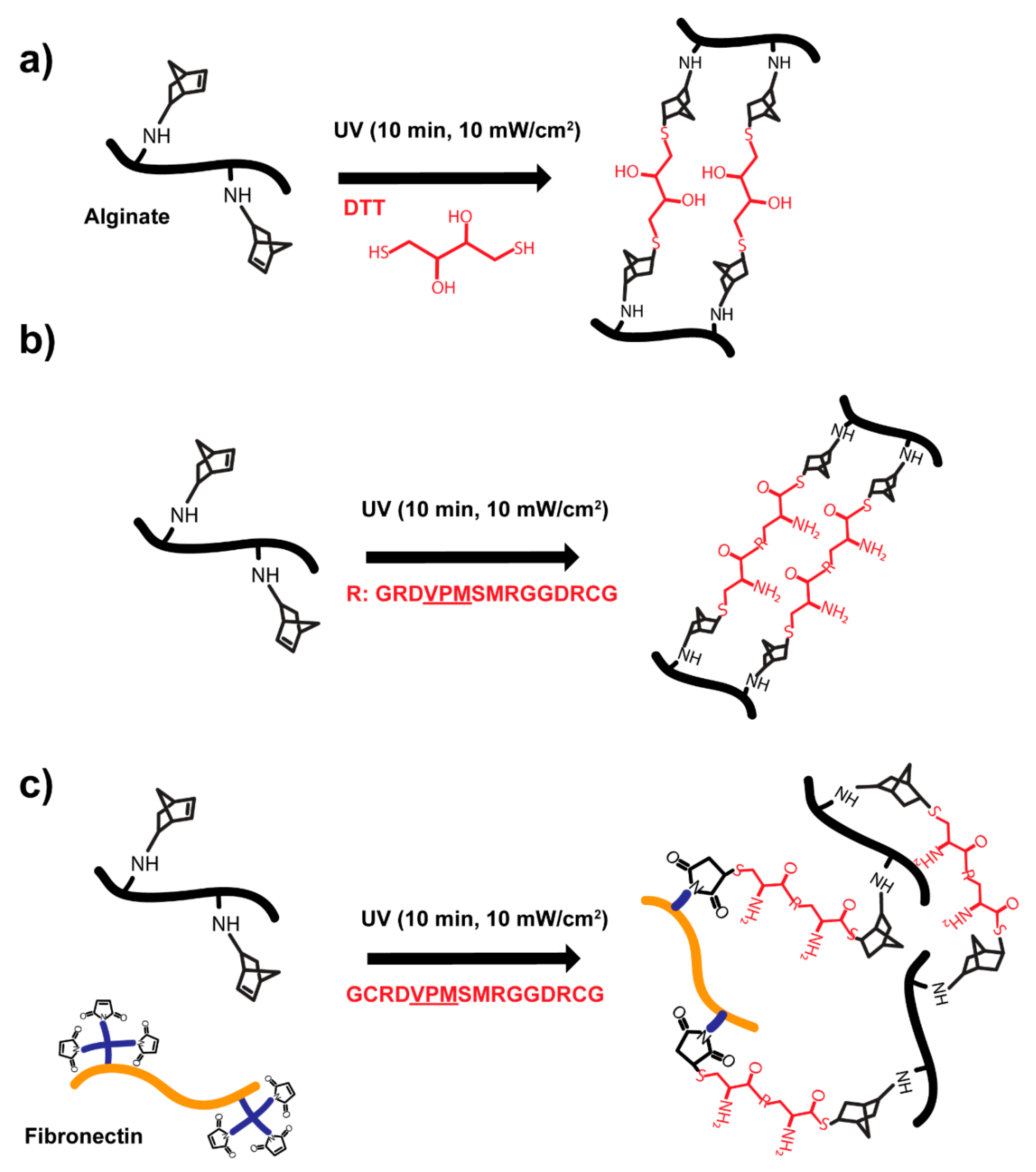 Polymers 13 00433 g001 Polymers 13 00433 g001