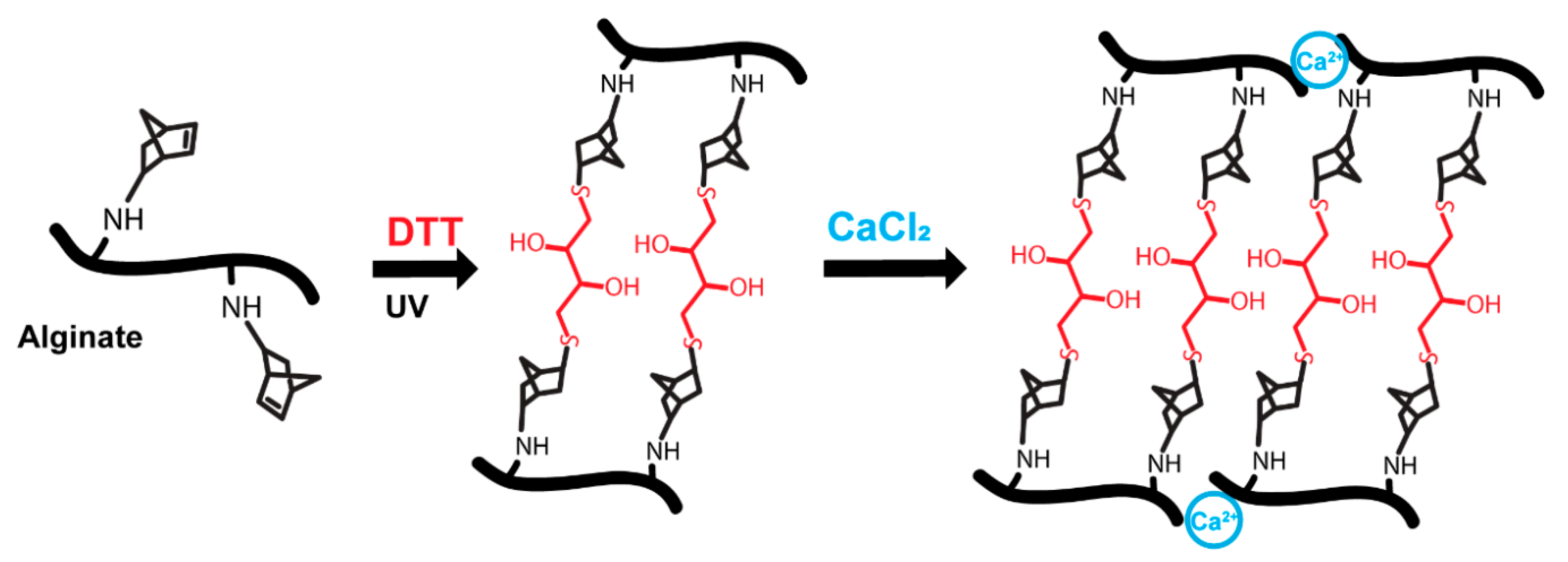 Polymers 13 00433 g004 Polymers 13 00433 g004